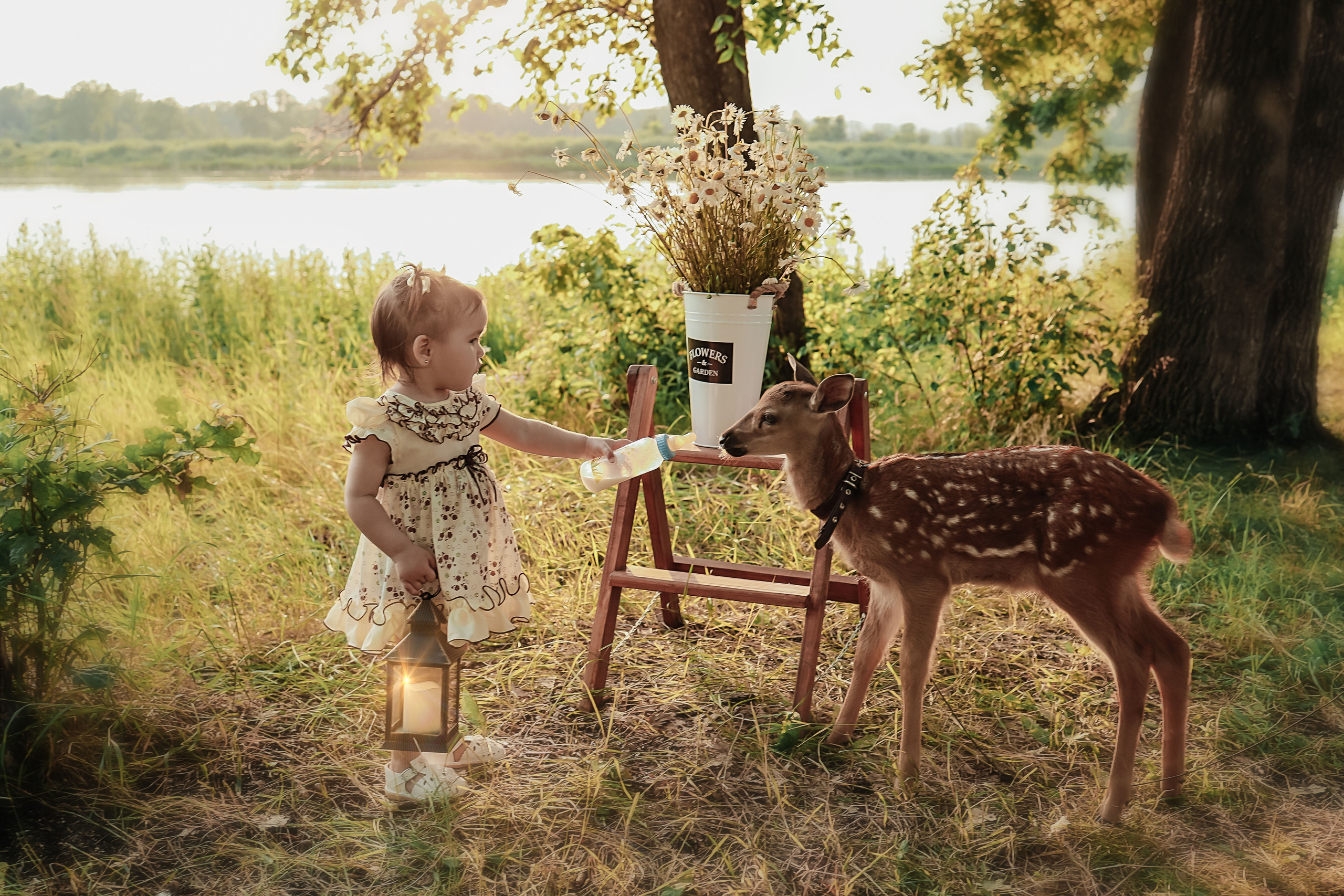 Фотосессия с Бэмби. Иванова Ирина Свадебный и семейный фотограф г. Уфа