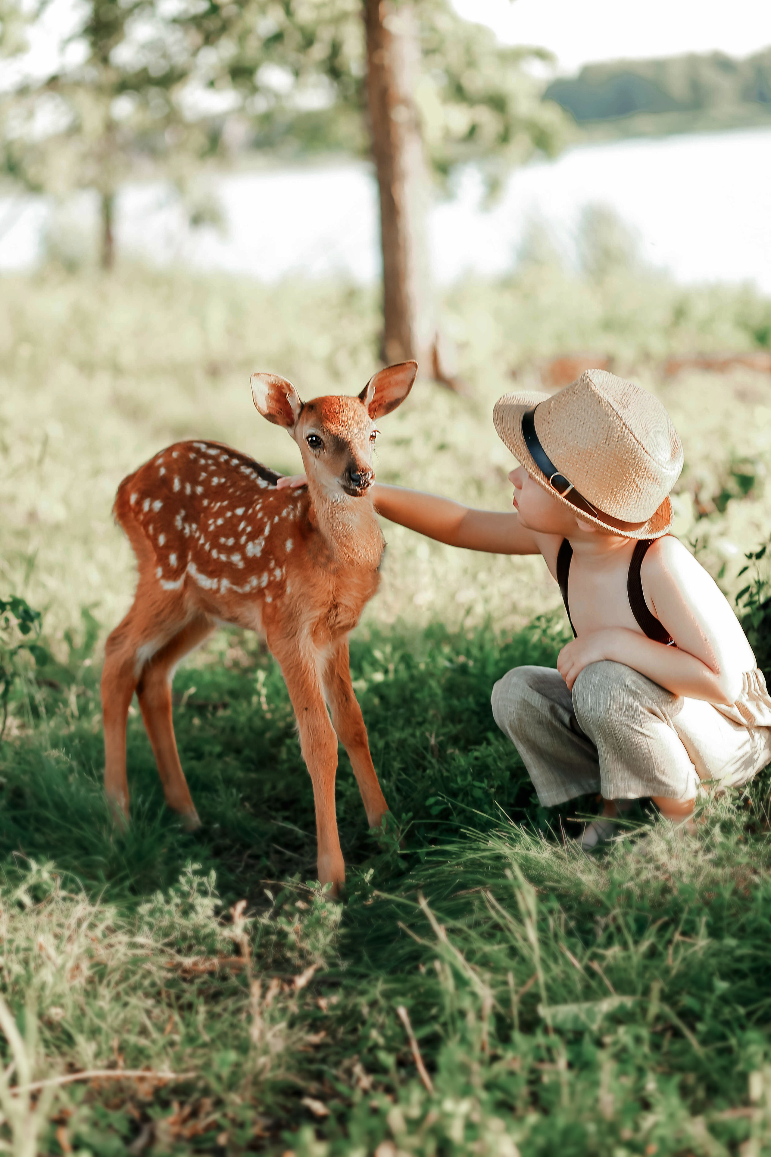 Олененок Бэмби. Иванова Ирина Свадебный и семейный фотограф г. Уфа