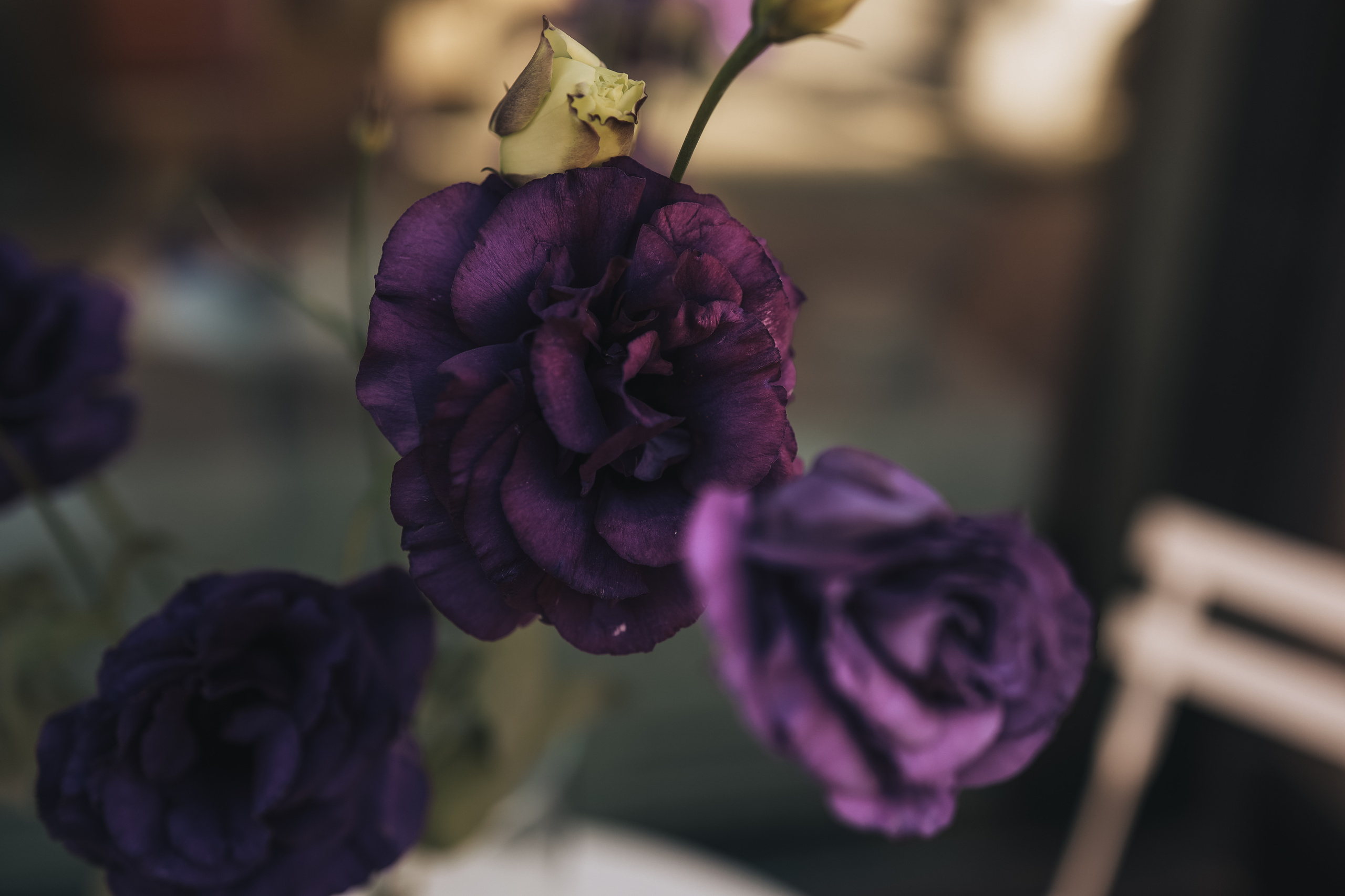 Съемка в Жк Аристократ. Иванова Ирина Свадебный и семейный фотограф г. Уфа