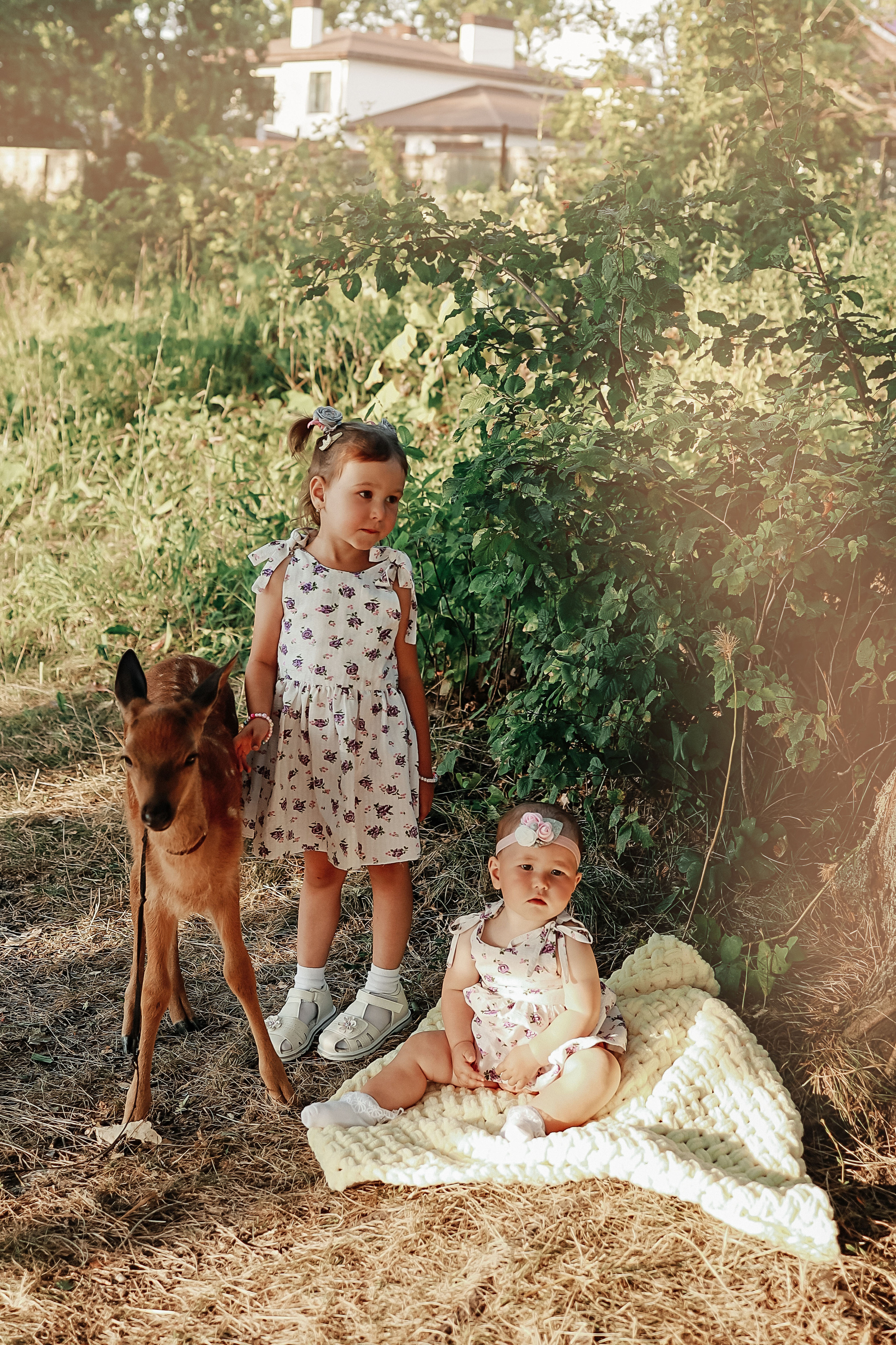 Семейная съемка и фотосессия с Бэмби. Иванова Ирина Свадебный и семейный фотограф г. Уфа
