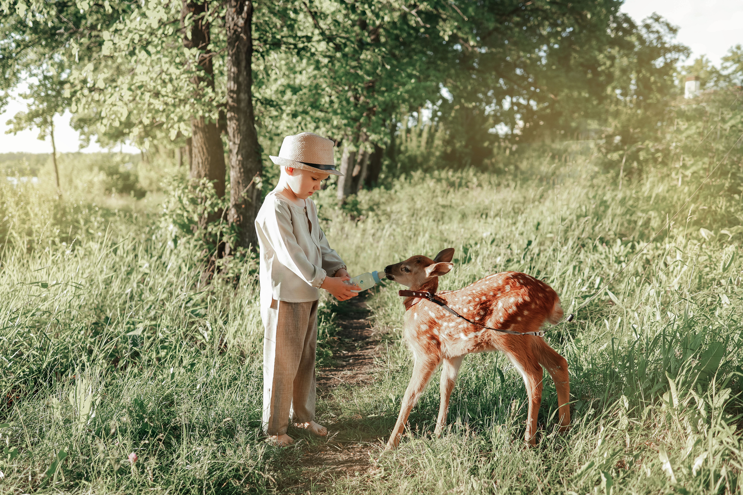 Олененок Бэмби. Иванова Ирина Свадебный и семейный фотограф г. Уфа