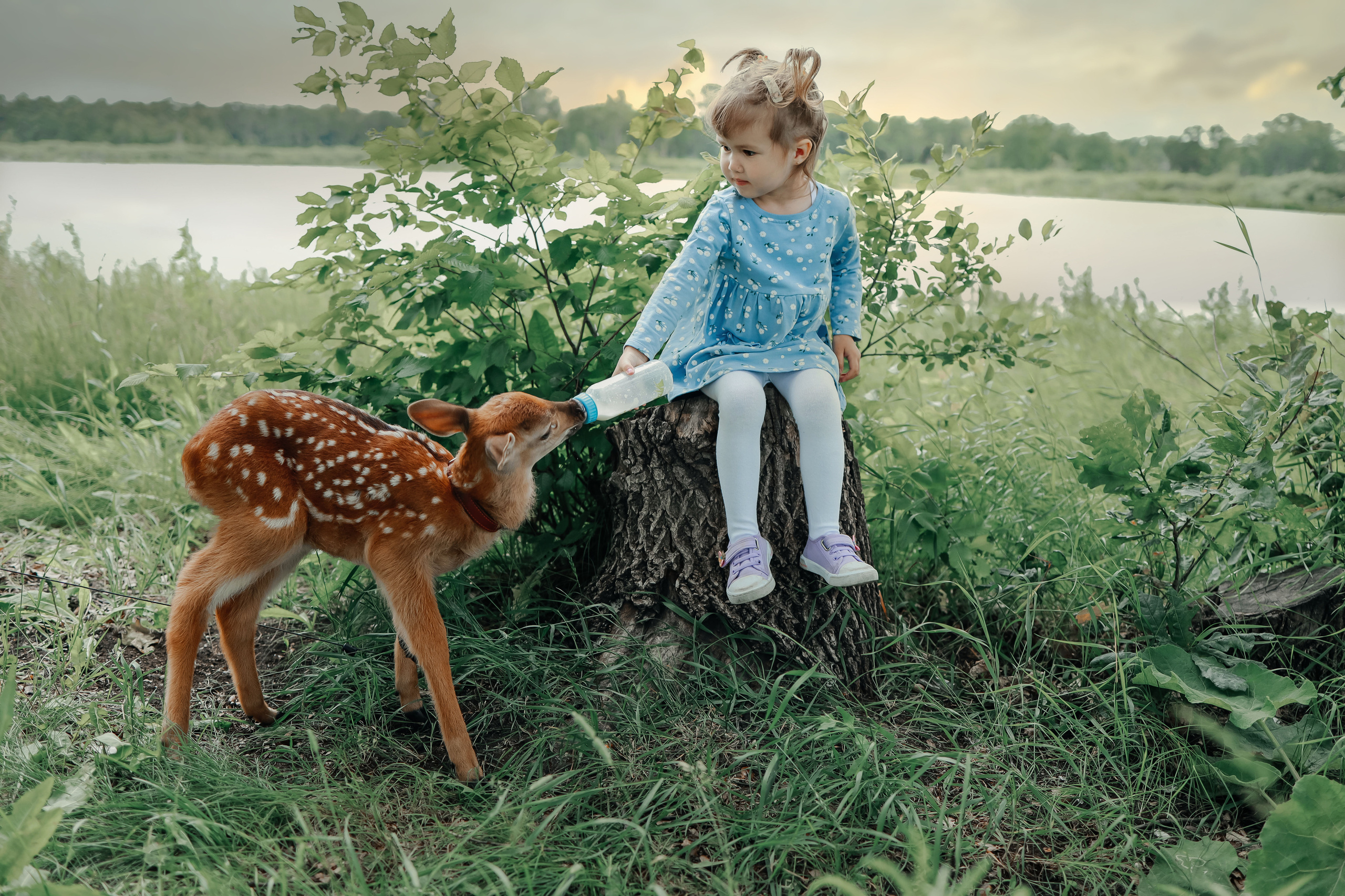 Фотосессия с оленем Бэмби. Иванова Ирина Свадебный и семейный фотограф г. Уфа