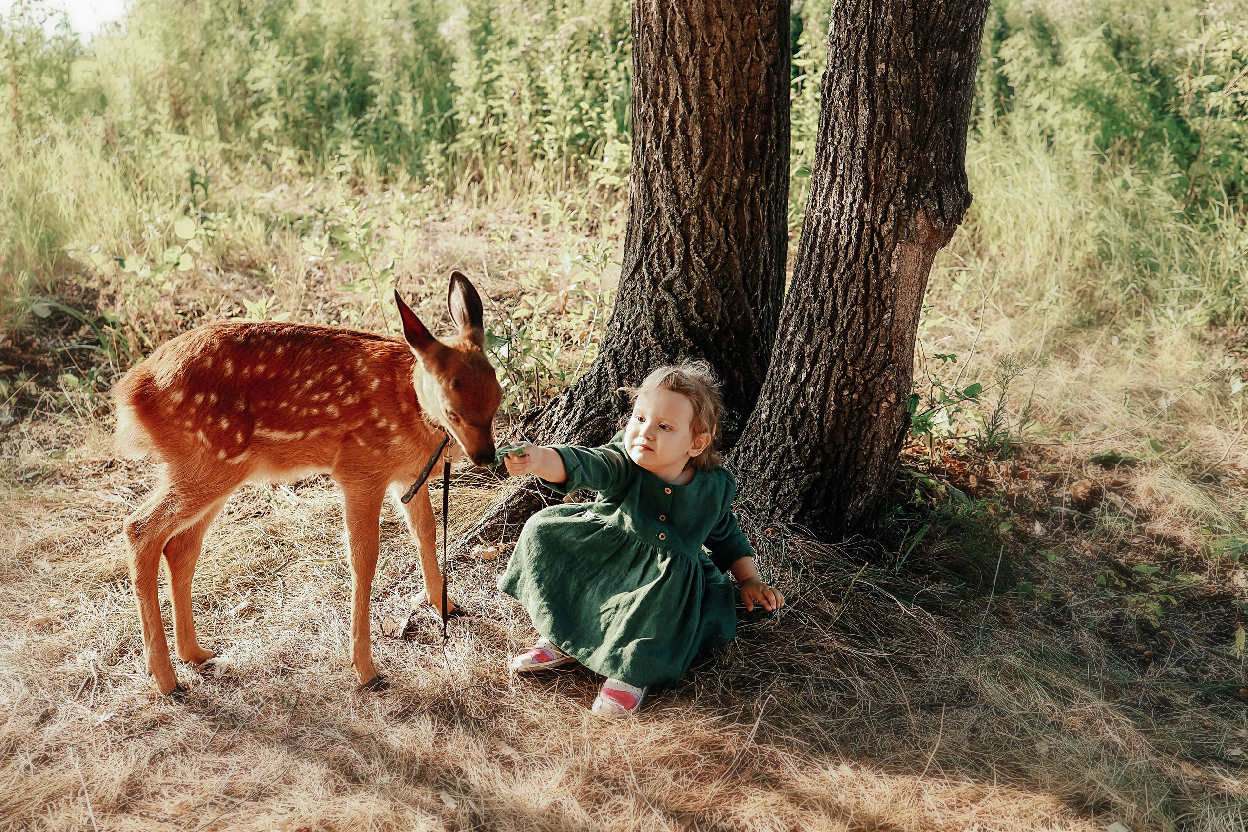 Фотосессия с оленем!. Иванова Ирина Свадебный и семейный фотограф г. Уфа