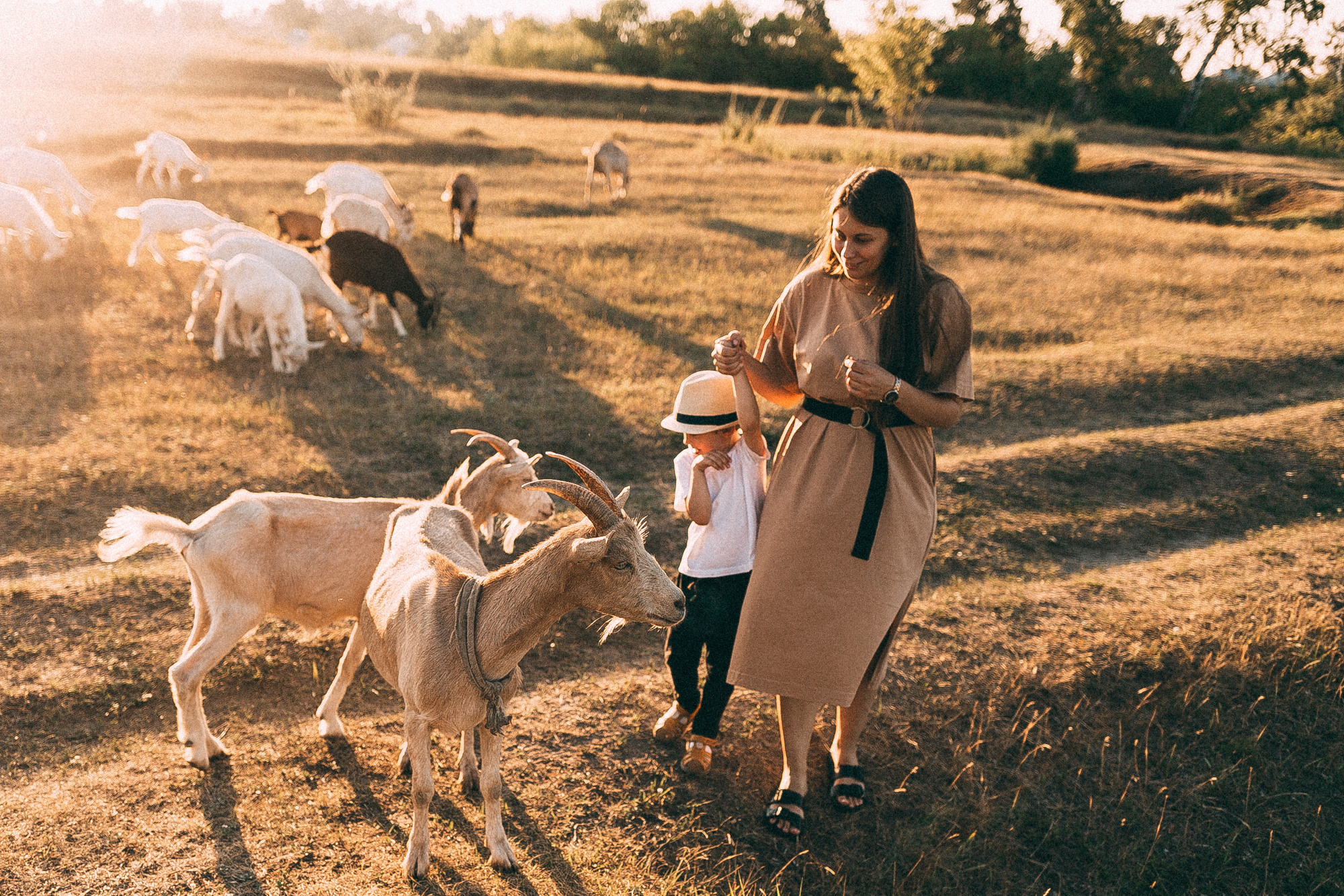Таня и Матвей. Даша Яковенко Фотограф Спб