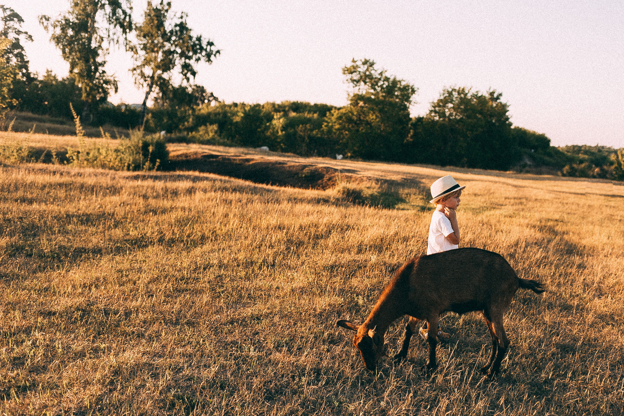Таня и Матвей. Даша Яковенко Фотограф Спб