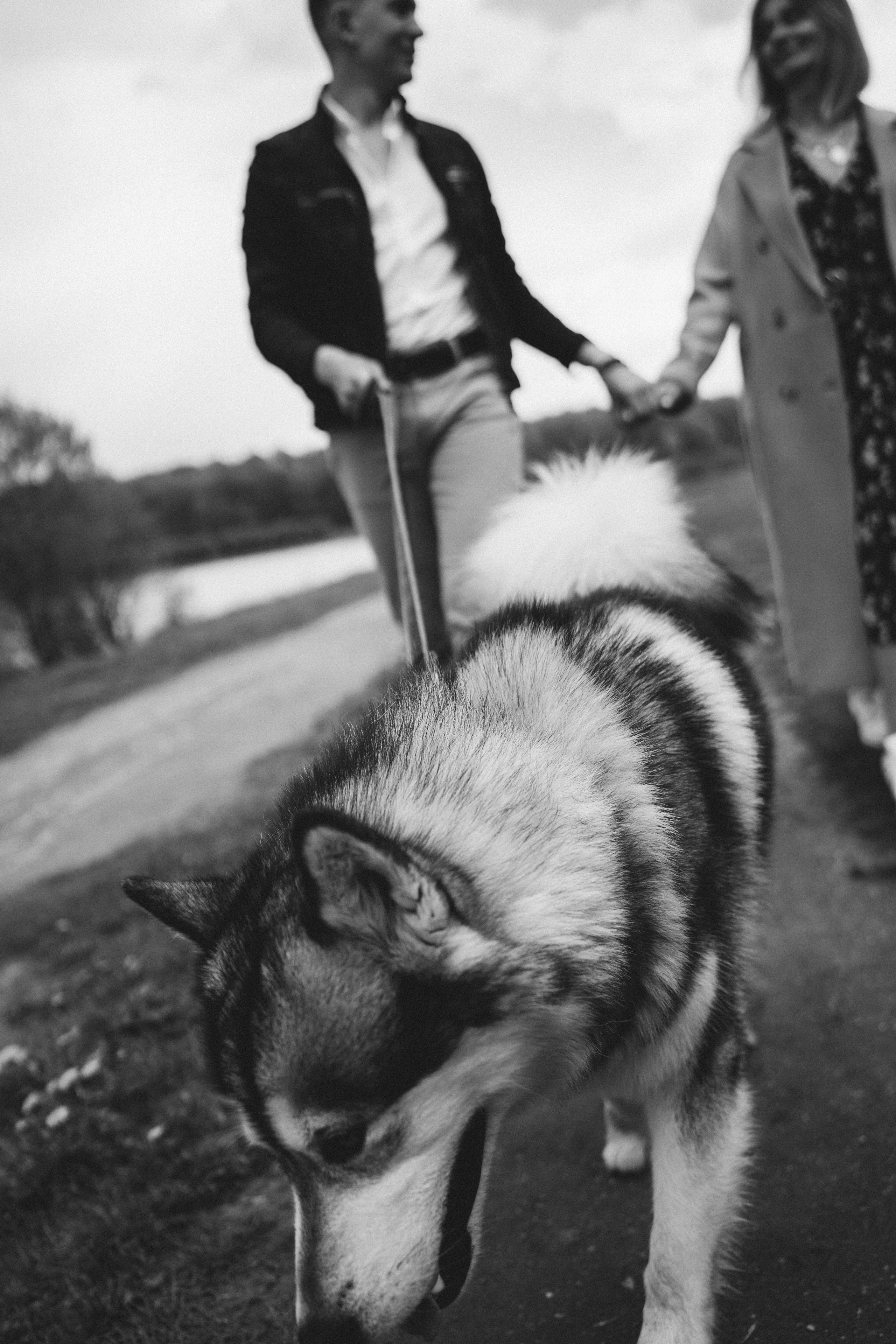 Света и Лёня. Дмитриева Светлана женский и семейный фотограф Рига, Москва, Геленджик