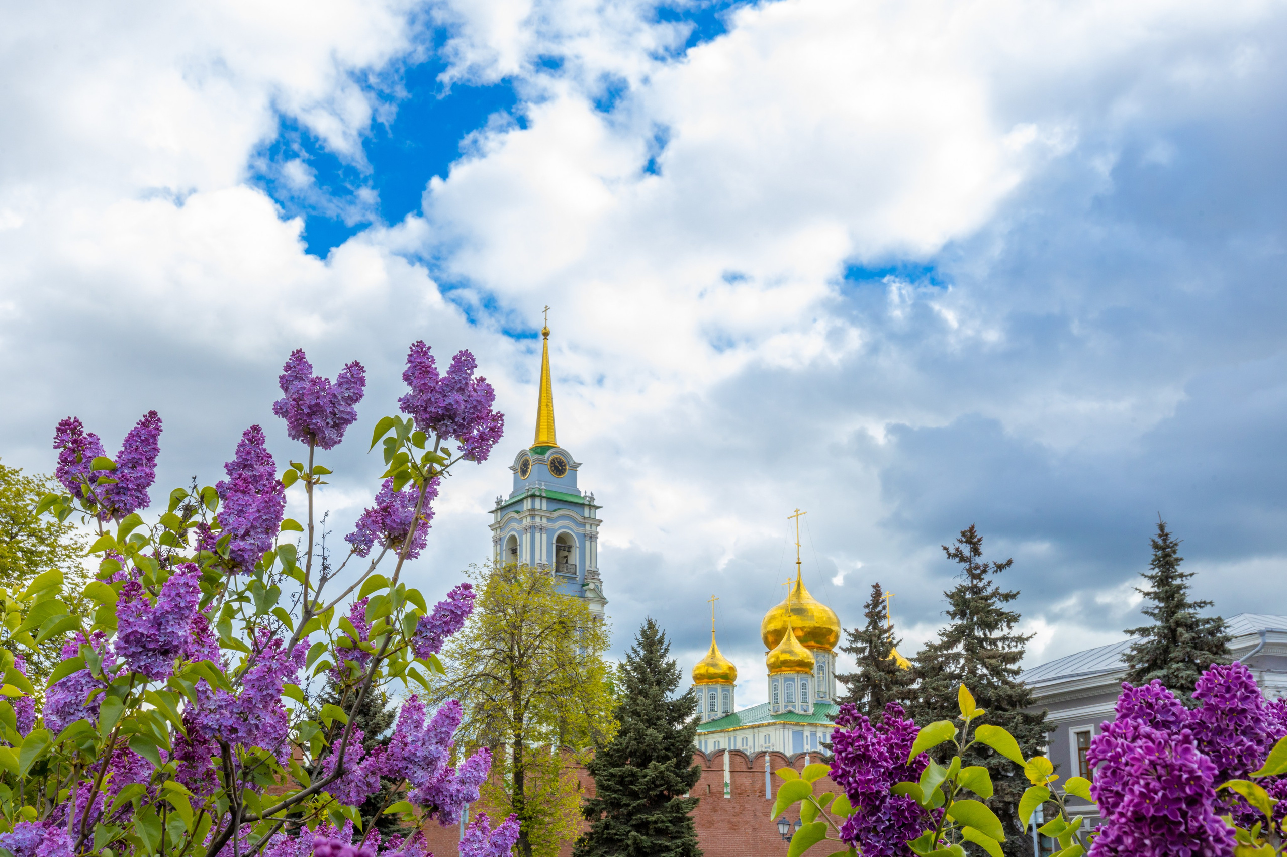 Весеннее цветение в Туле. Фотограф в Туле Крупский АнДРей. Фотостудия «КАДР71» в Туле