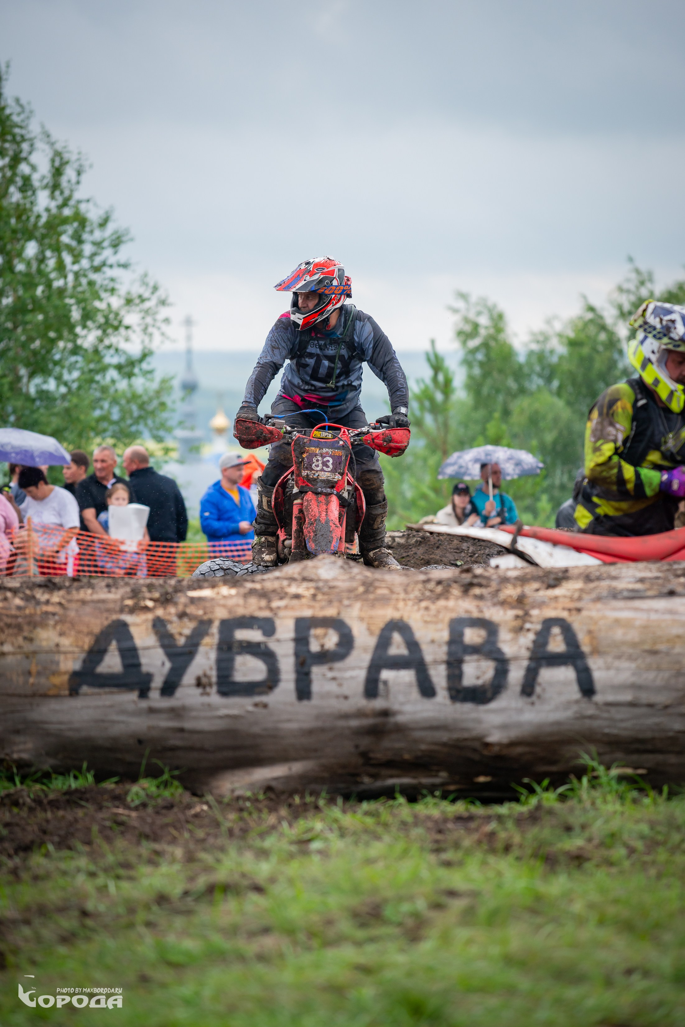 Дубрава 2025. Фотограф | Макс Борода