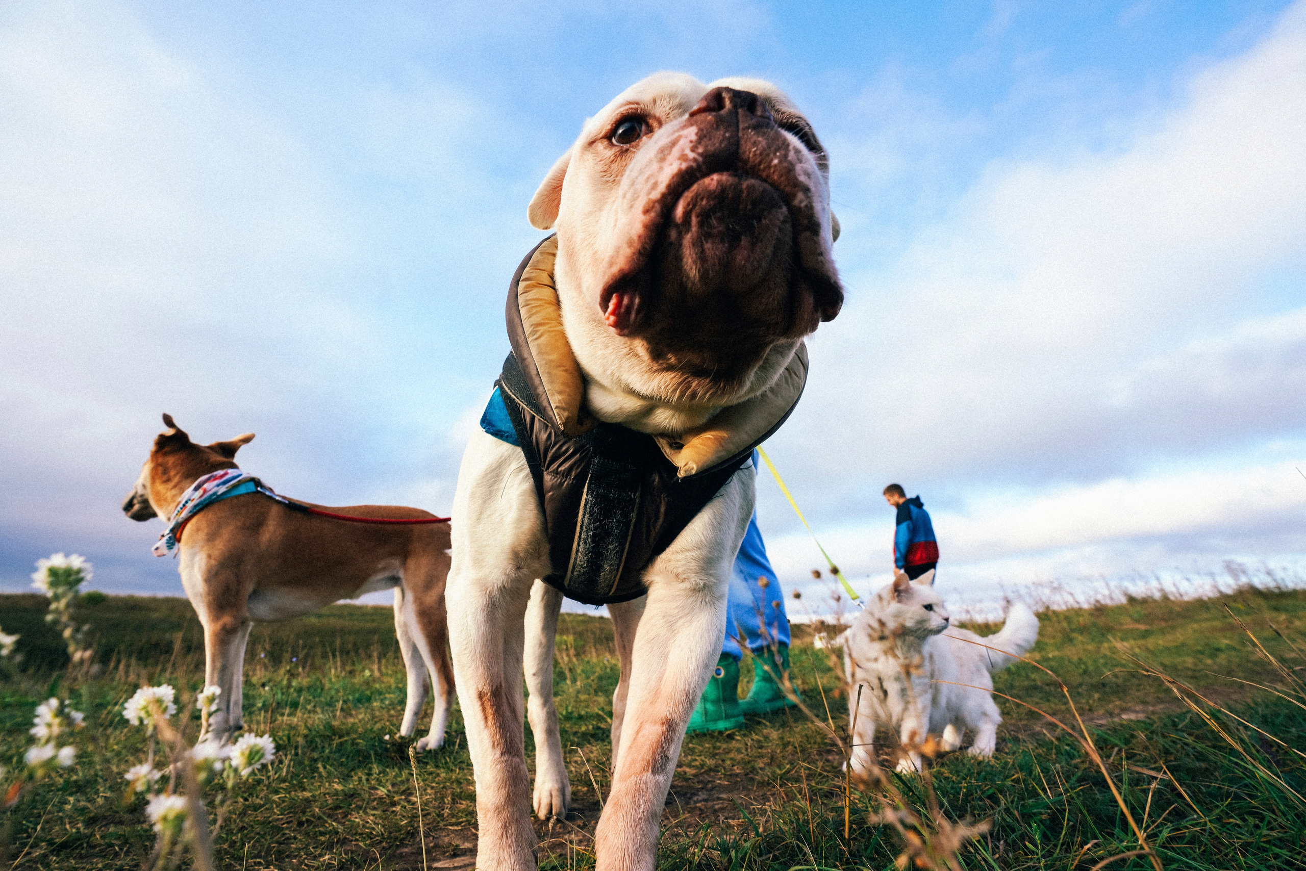 «Наша маленькая безумная семья». Фотограф Казань