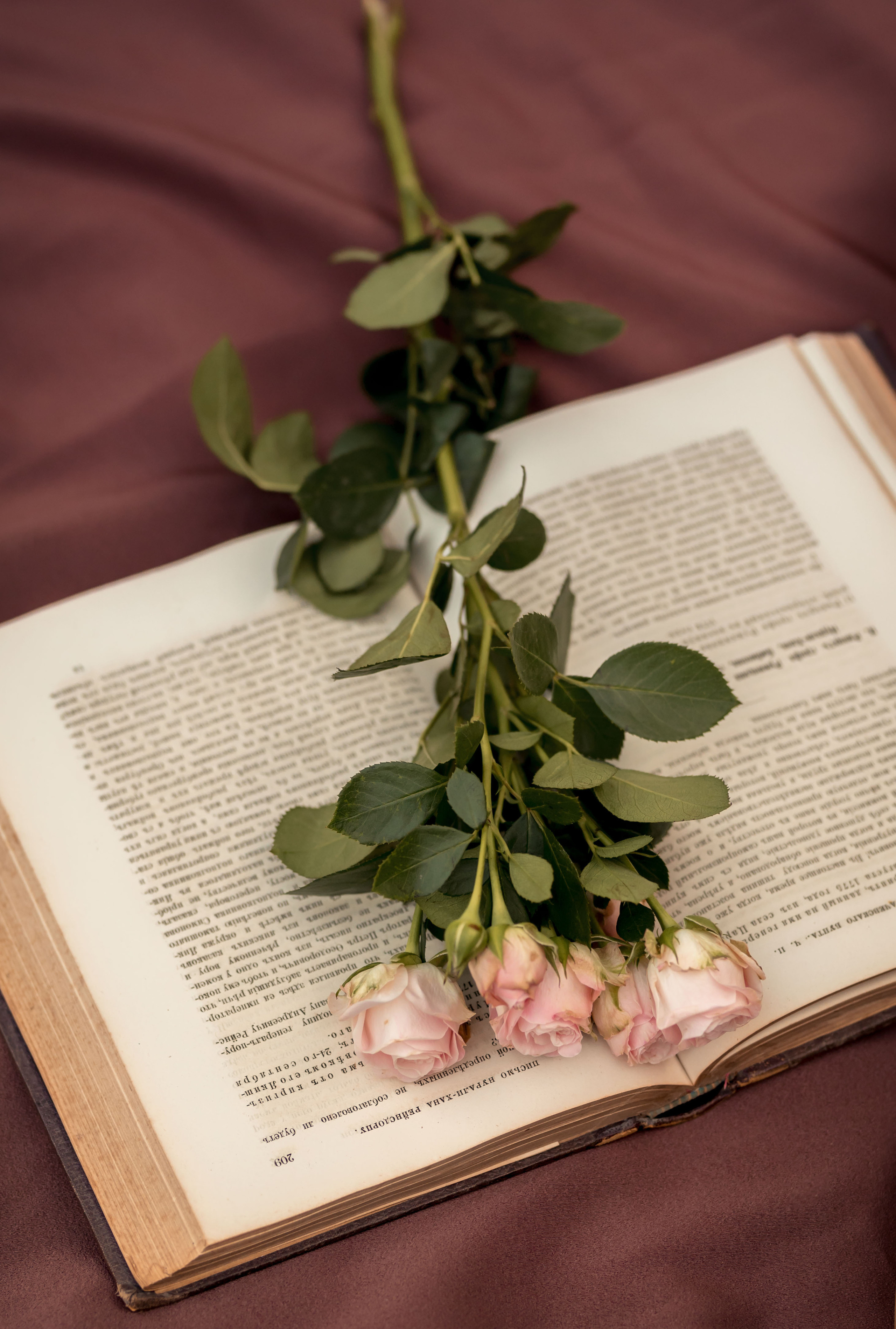 Ирина. Фотограф в Москве