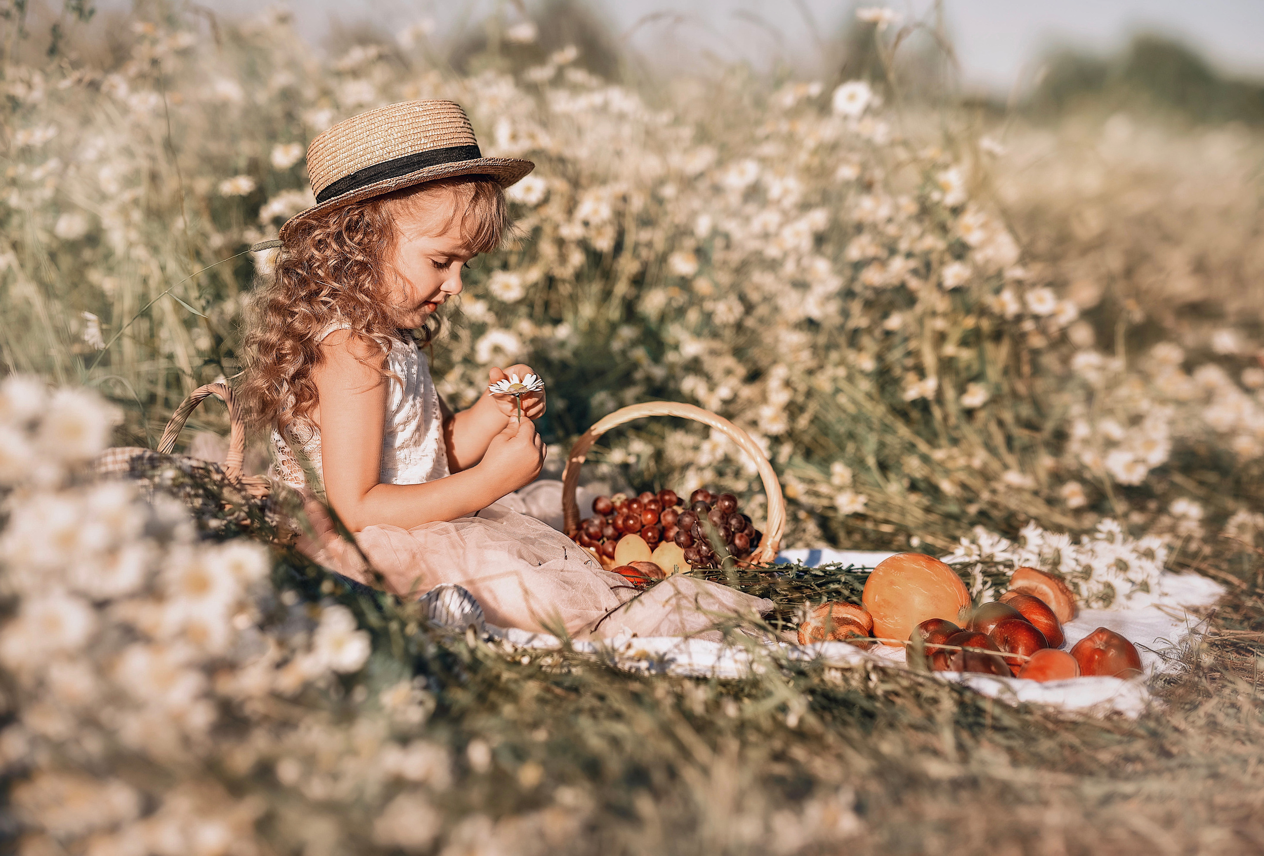 Настя (ромашки). Фотограф в Москве