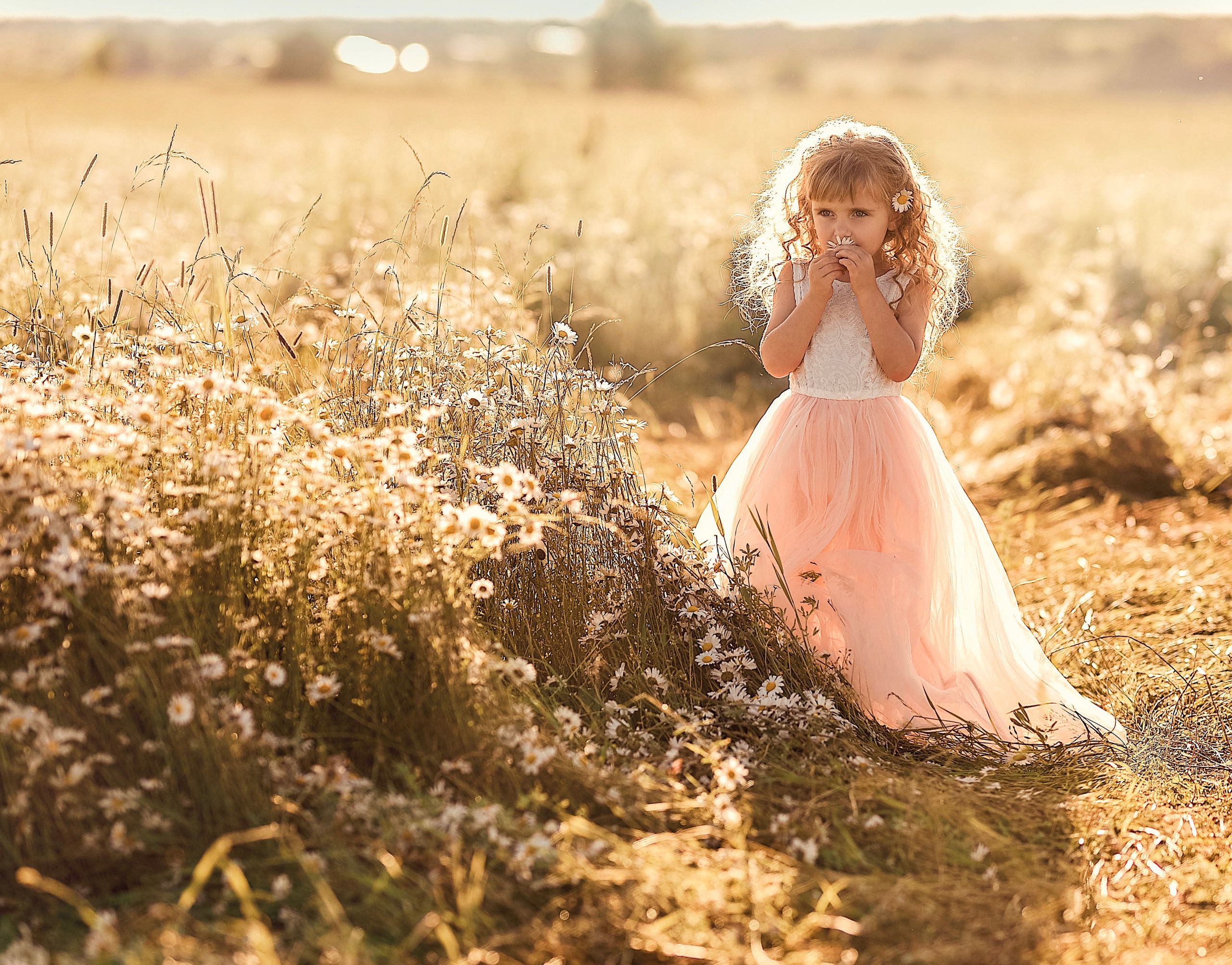 Настя (ромашки). Фотограф в Москве