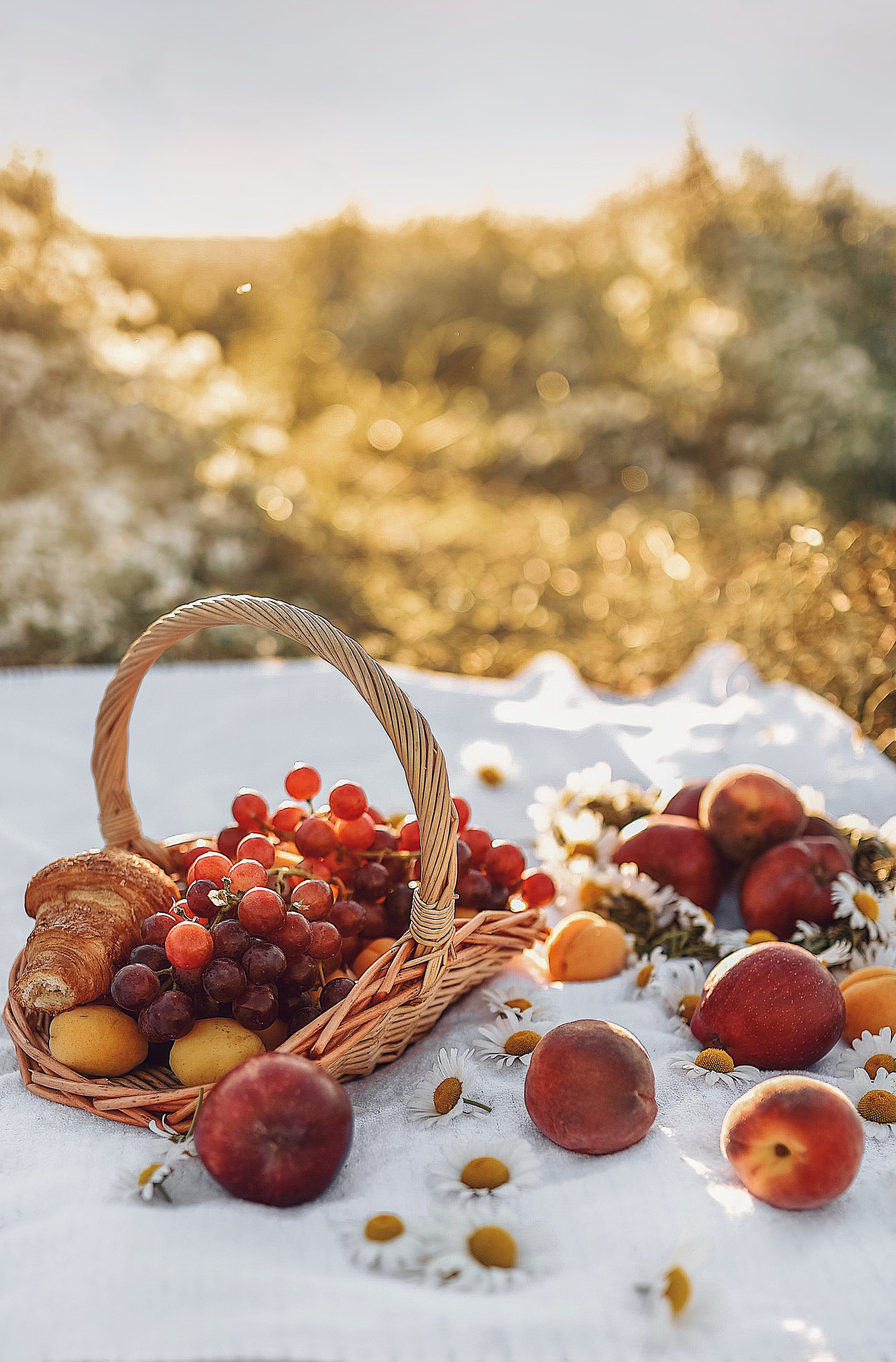 Настя (ромашки). Фотограф в Москве