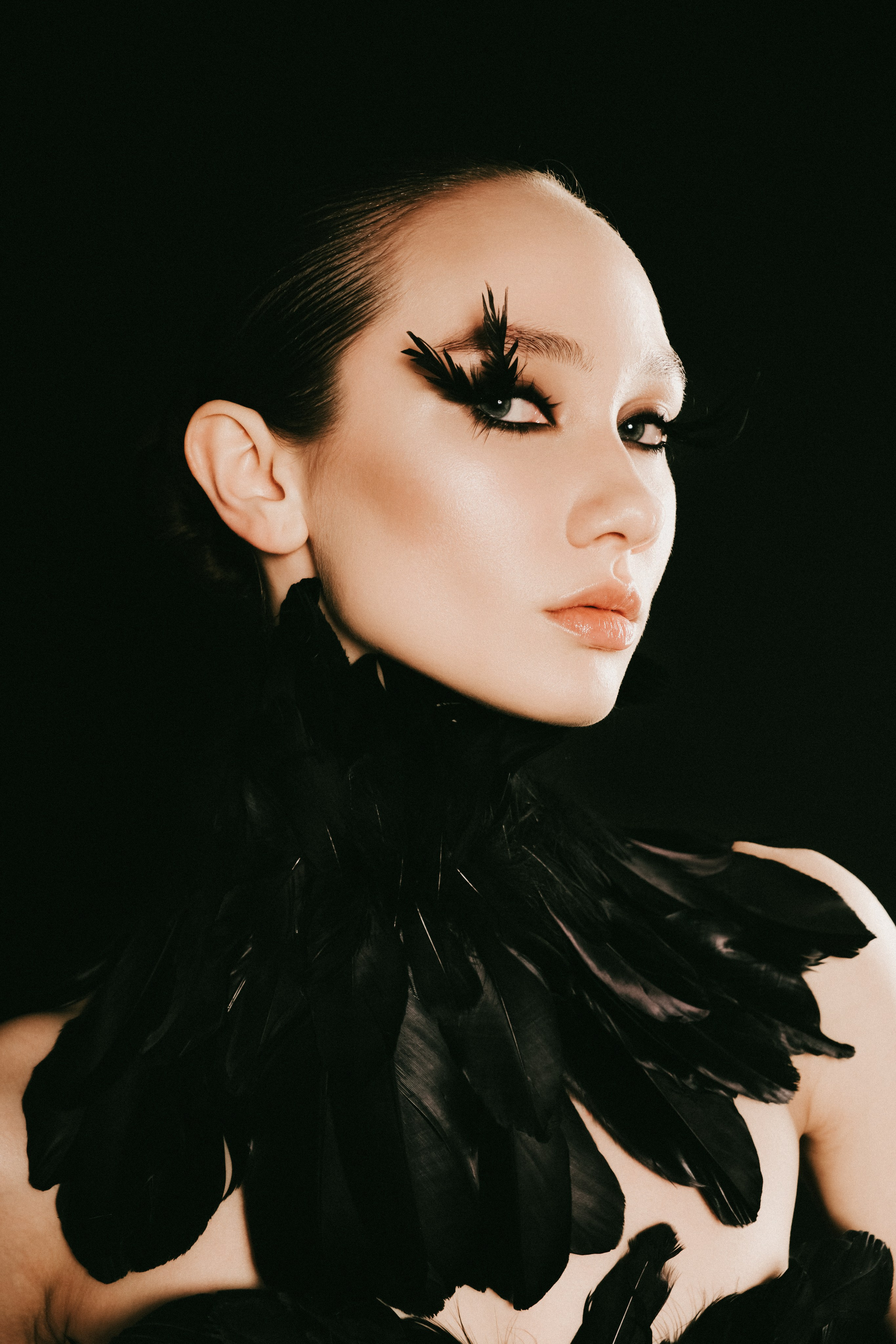 Черный лебедь. Фотограф Санкт-Петербург Лиза Артти