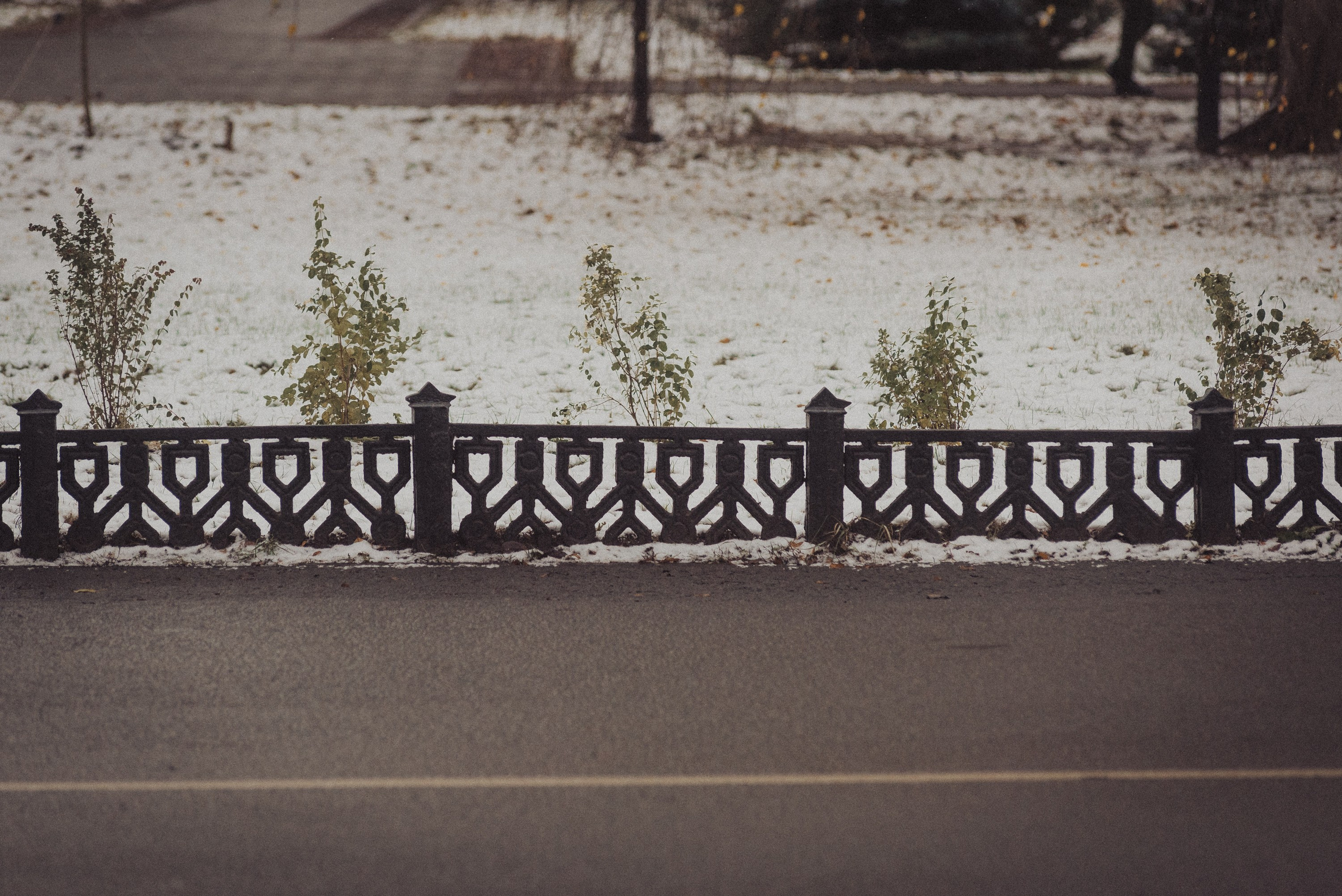 Проект #улицыгорода. Ярославль, площадь Челюскинцев. Документальный фотограф Илья Тихановский