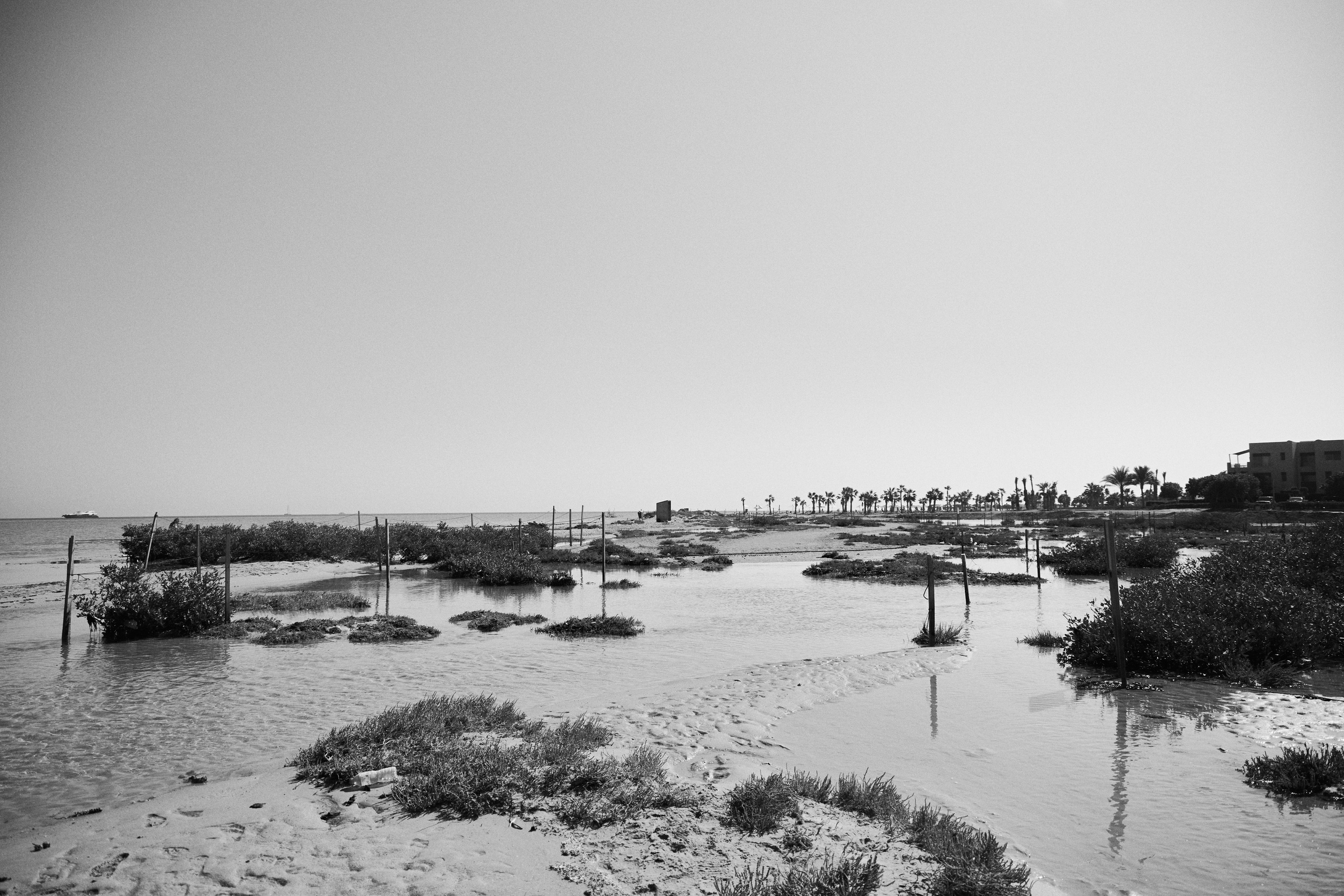 Другое 3. Jorgis — фотограф в Хургаде / обучение фотографии