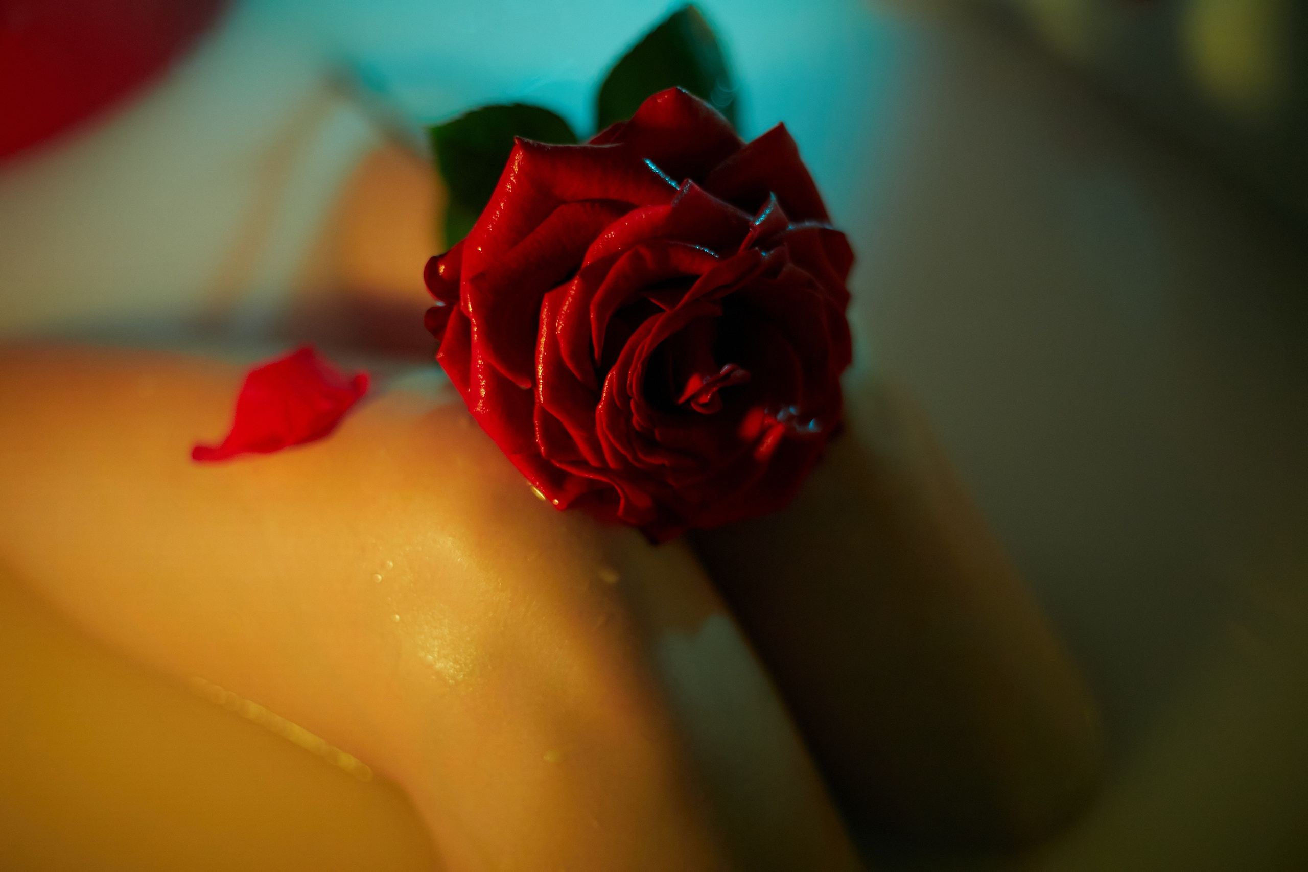 «Молоко и роза». Свадебный и креативный фотограф в ЮФО и МСК