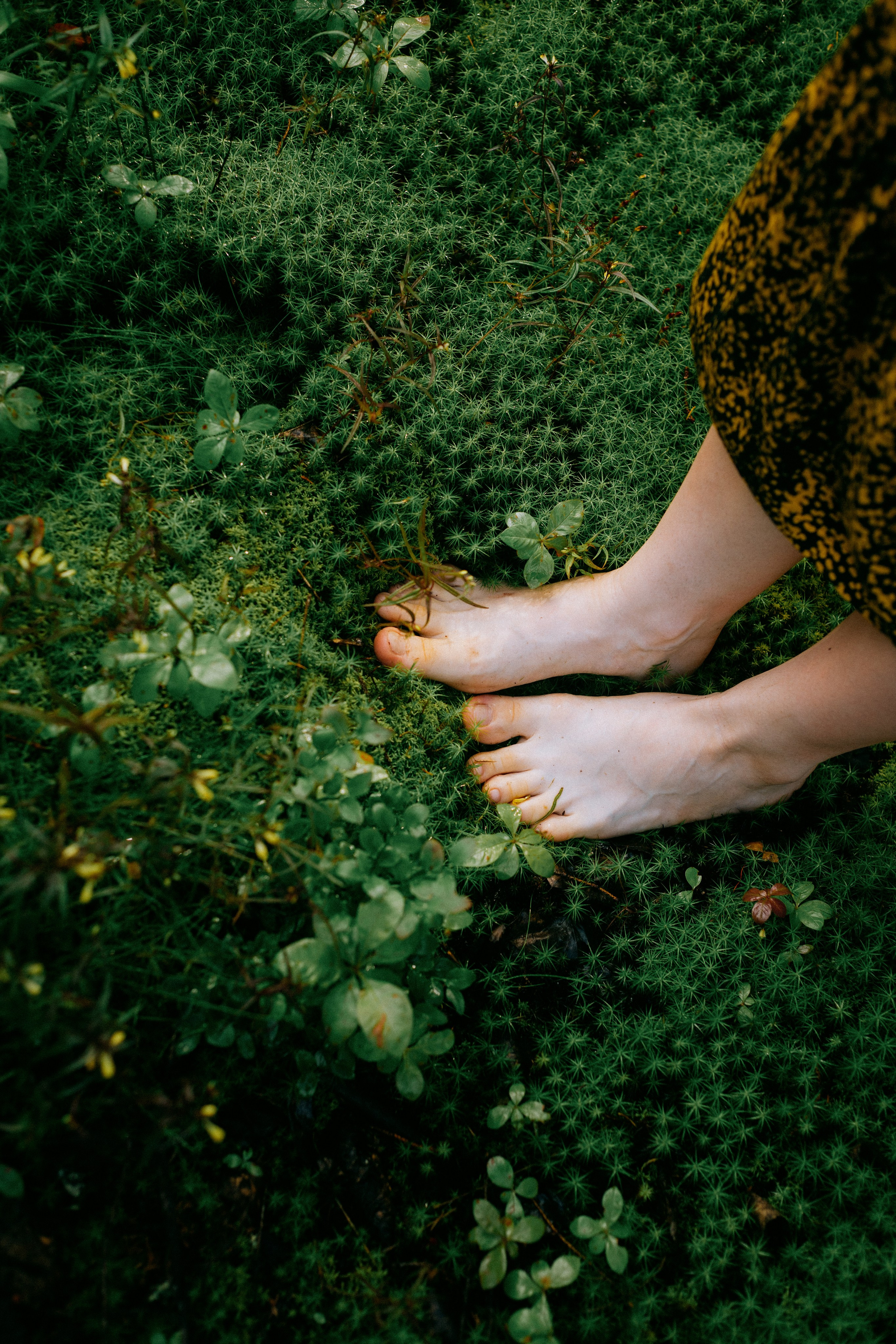 Liza. Forest Nymph. Портретный и концептуальный фотограф в Санкт-Петербурге Роман Башкиров