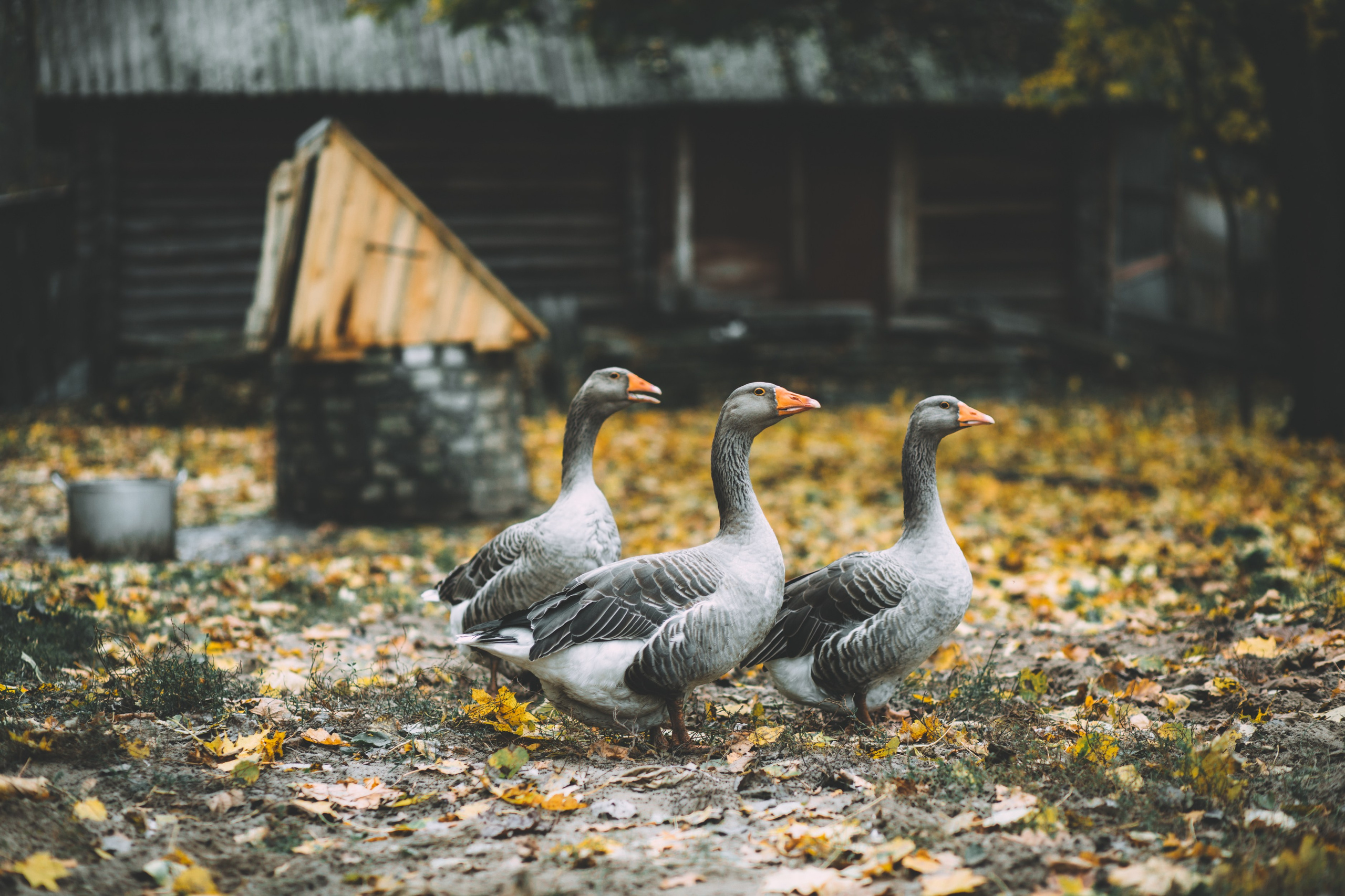 PROJECTS. Nastya Marchenko — based in Moscow Art and Documentary photographer. Works with memory, revelation, vulnerability & human states worldwide