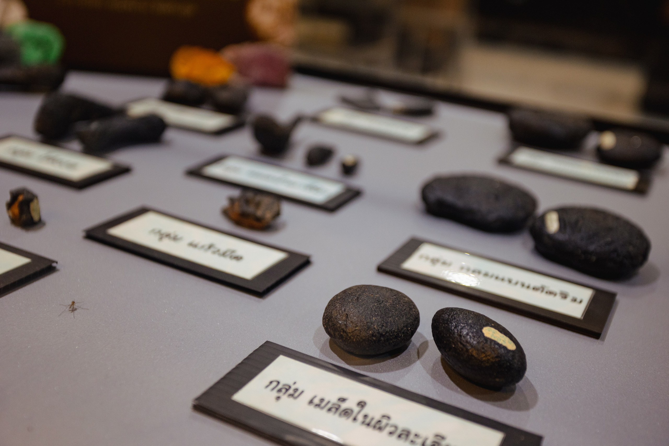 Bangkok Planetarium. Photographer Sonkina Tatiana (Tanya Ash)