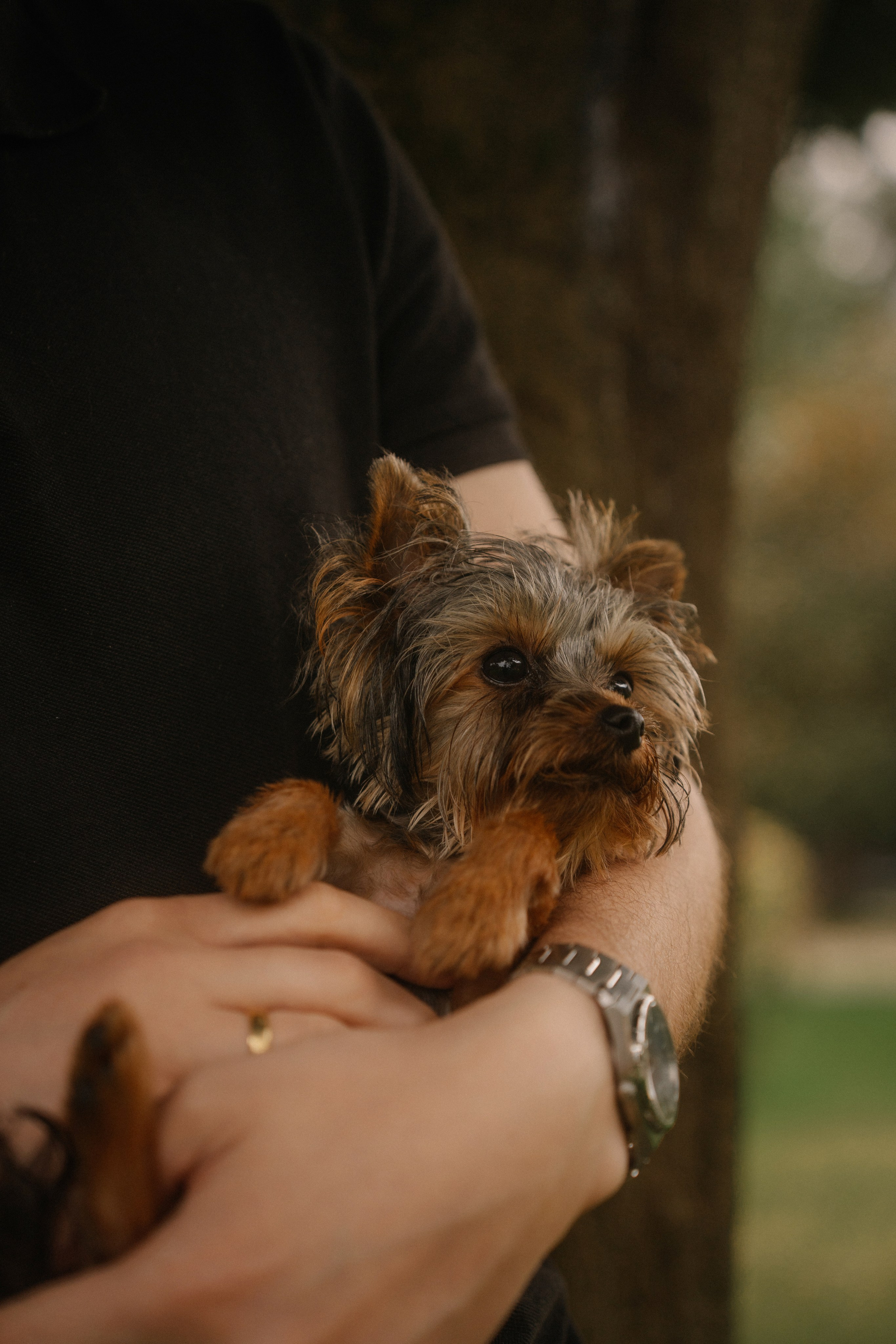 11. Фотограф Батуми | Ксения Кинасова