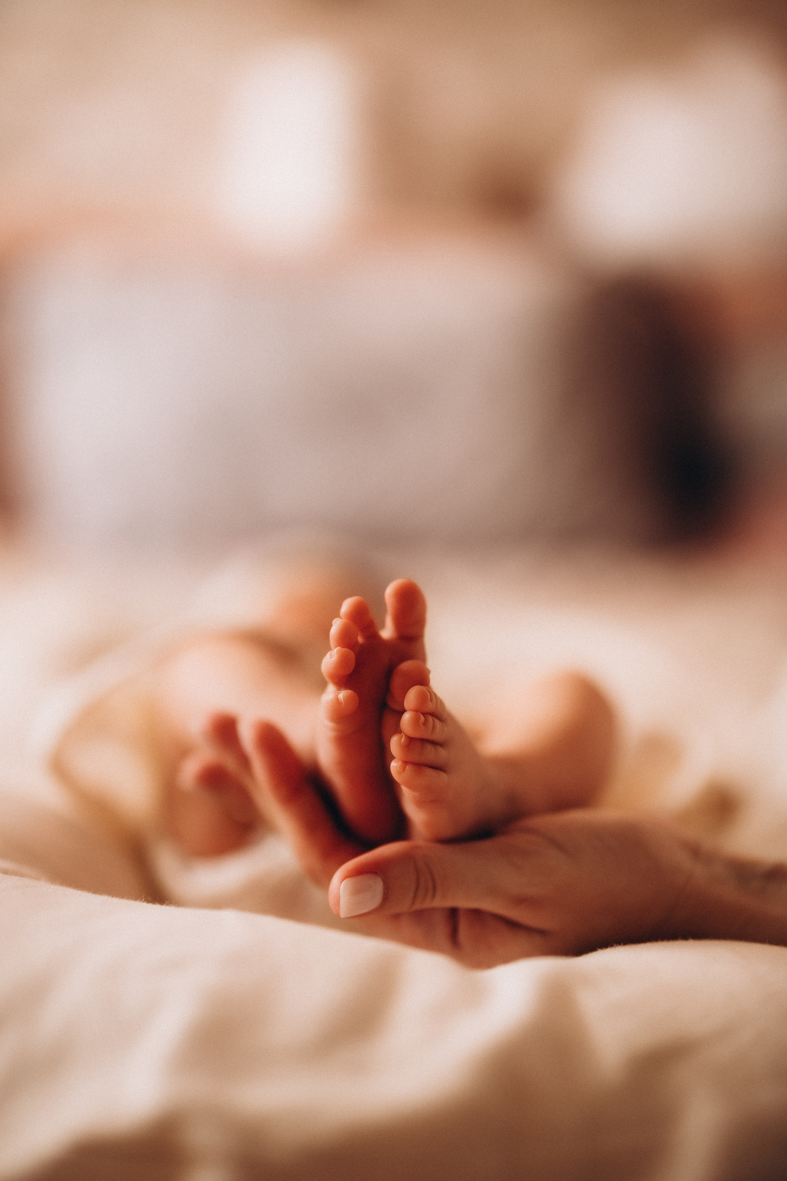 Василиса. Евгения Пелипас