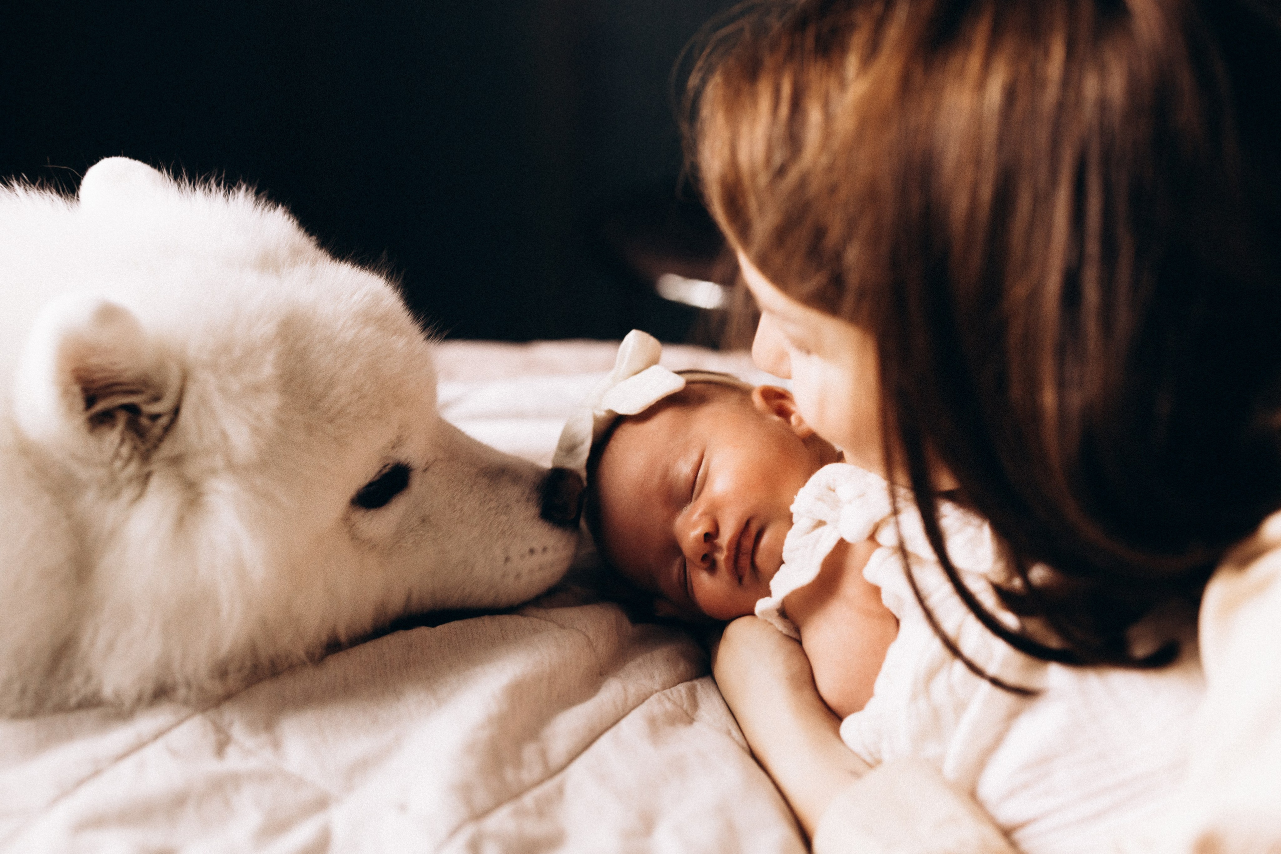 Василиса. Евгения Пелипас