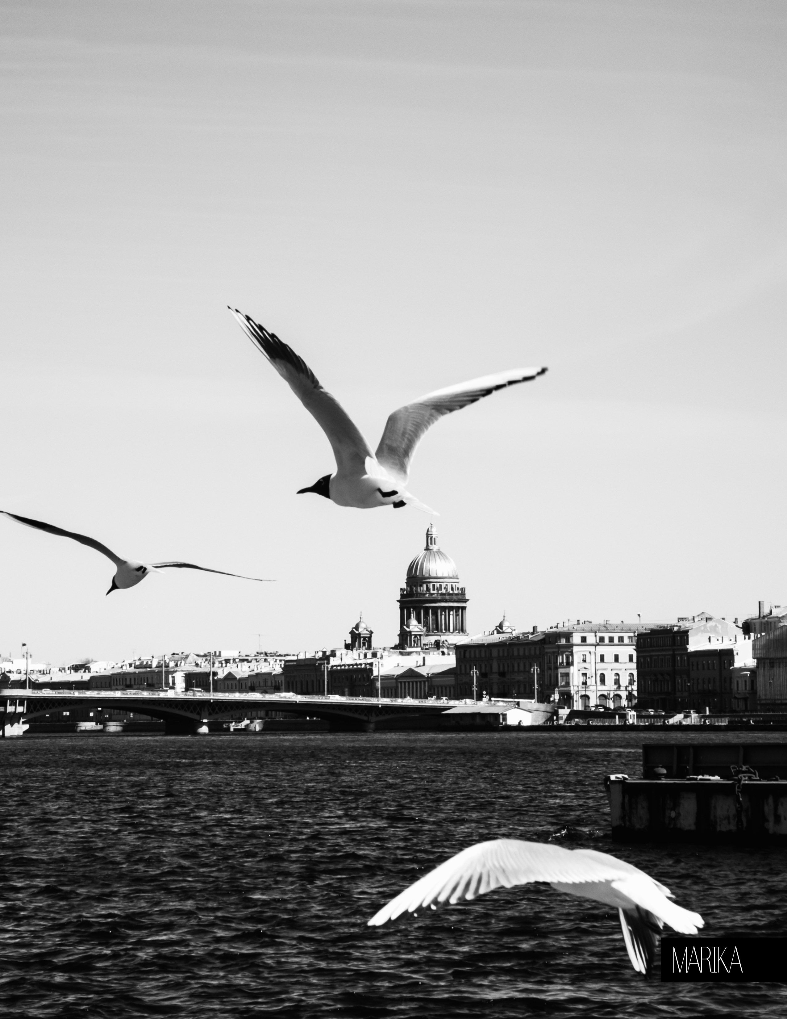 Портретный фотограф