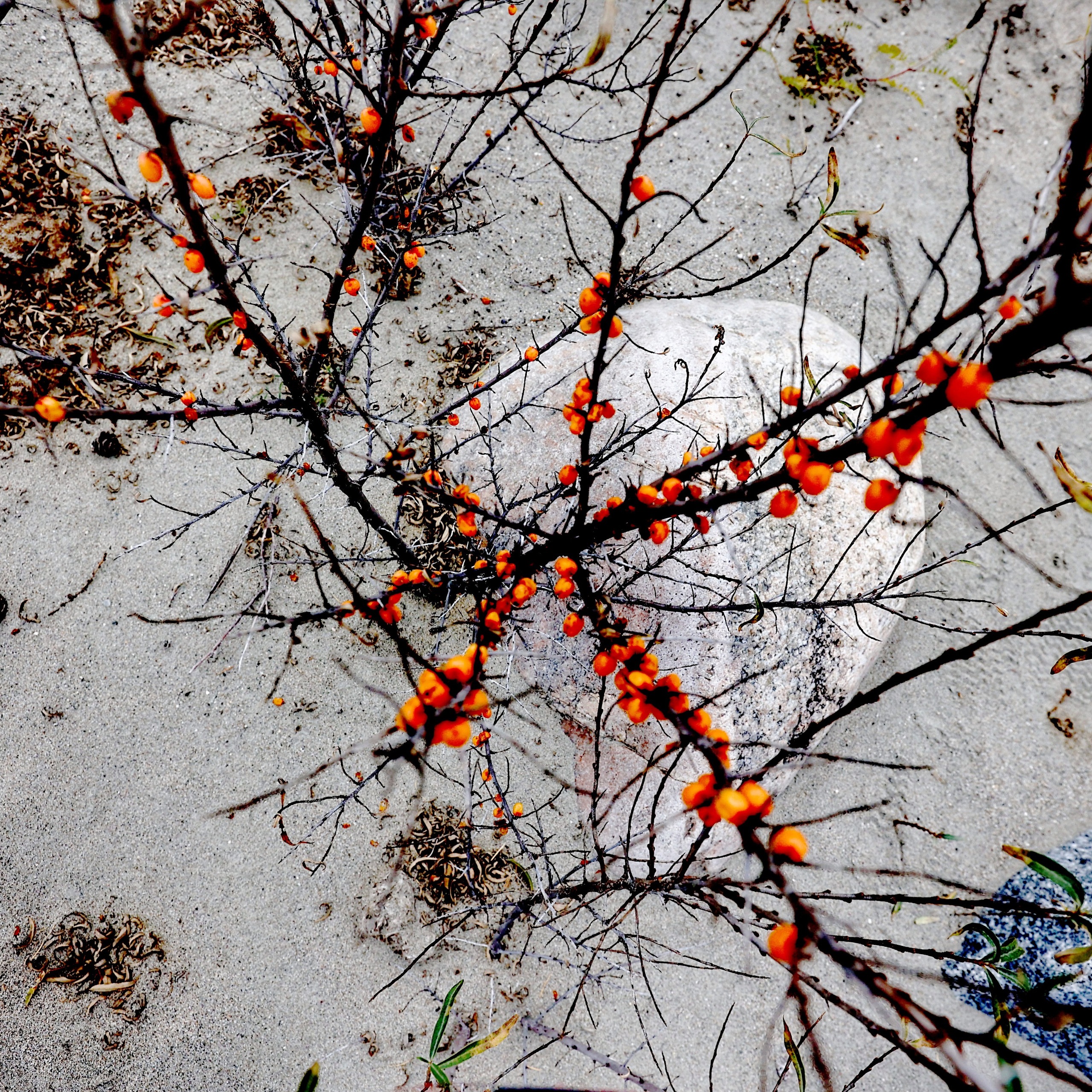 2022. Тащилин Сергей. Фотографии. Жизнь. Хобби