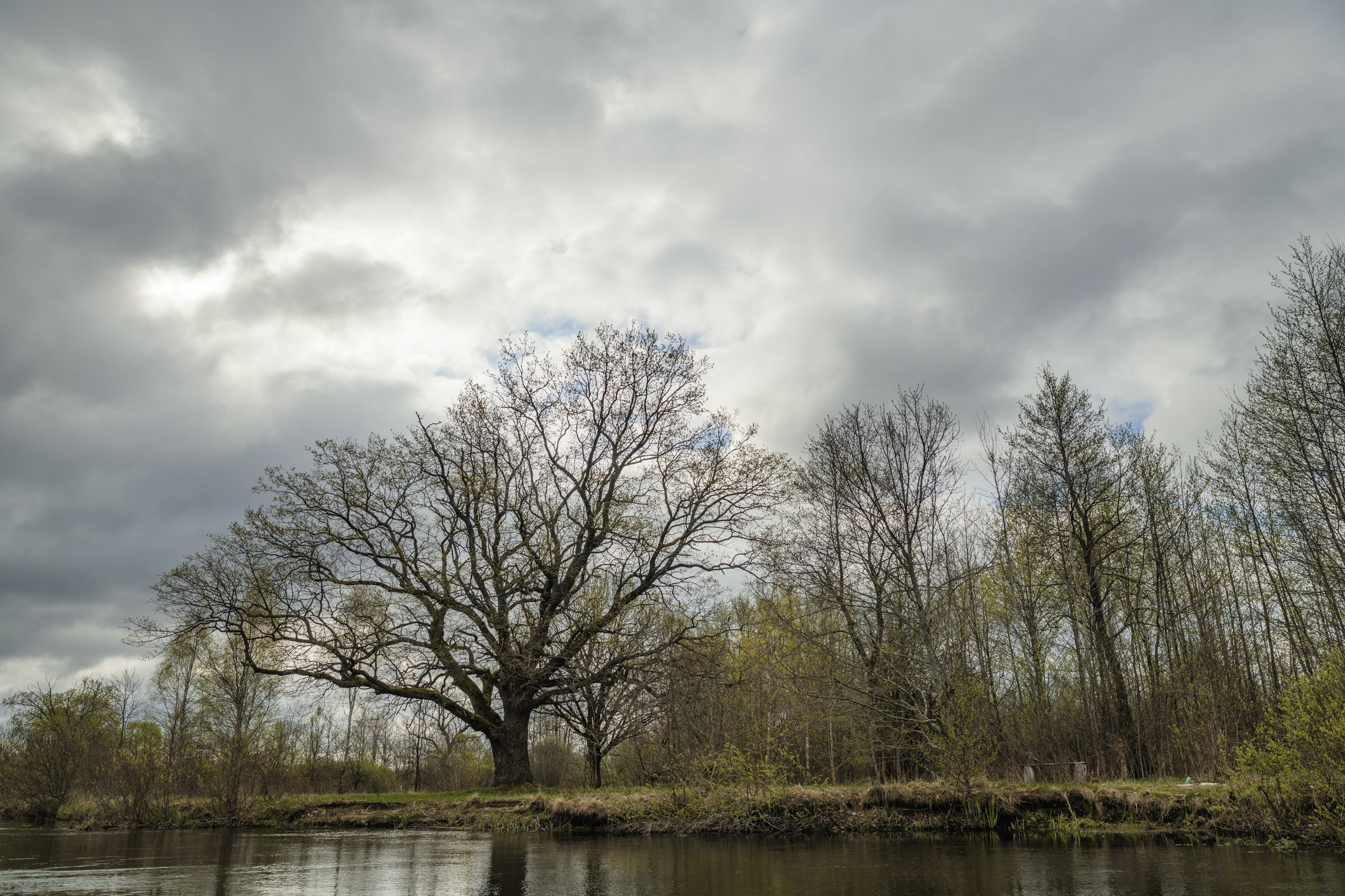 Водный поход 1-й кс по реке Случь. Репортажный фотограф Владимир Беляй