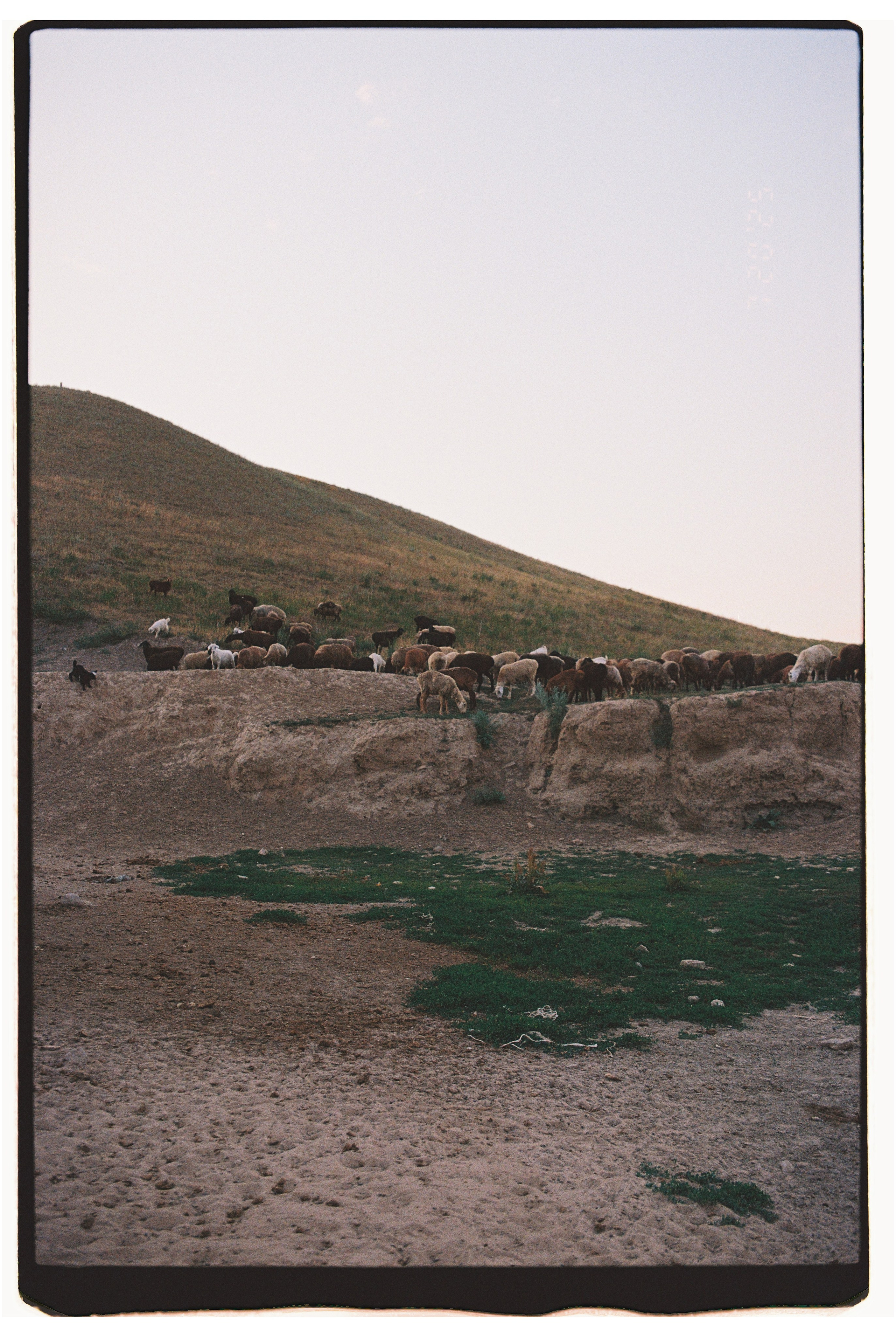 2025 — Путешествия на плёнку. Фотограф в Алматы — Алексей Коньков | Репортаж, свадьбы, портреты