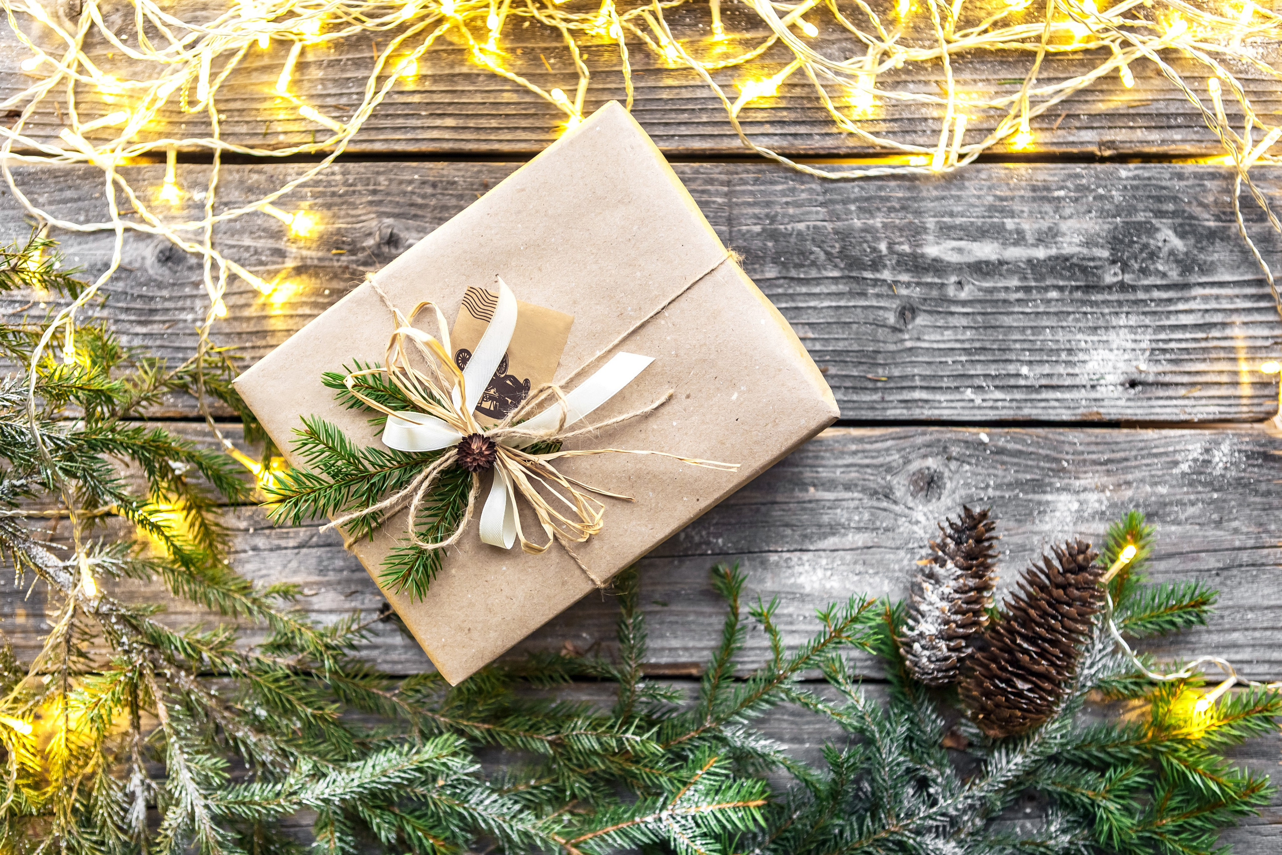 Интерьеры и предметная съемка. Портретный и семейный фотограф в Минске