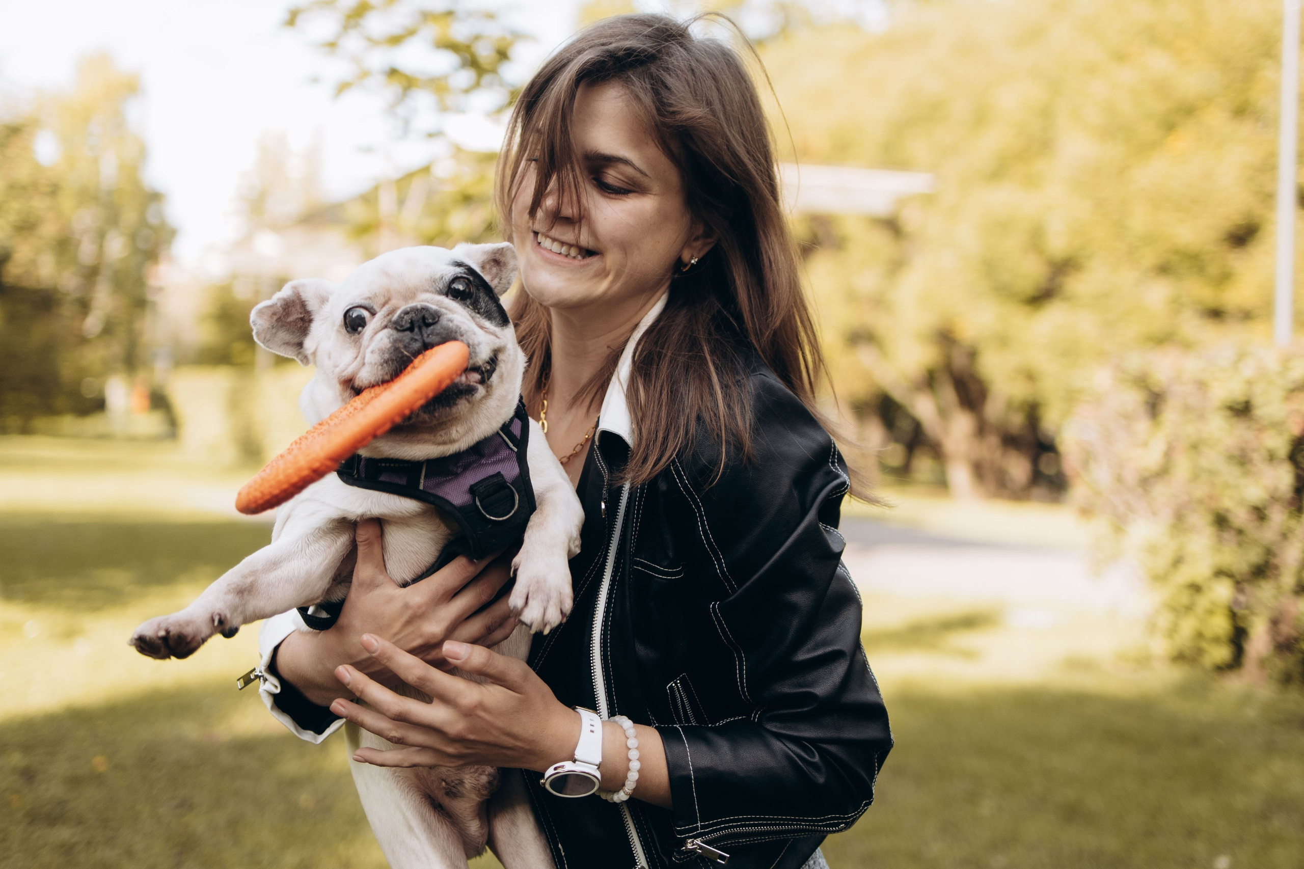 Оля и бульдоги