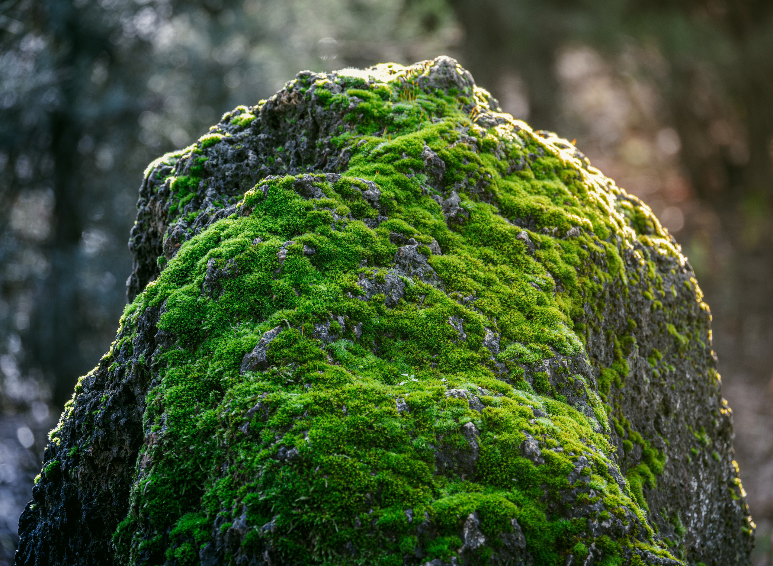 Окружение через объектив