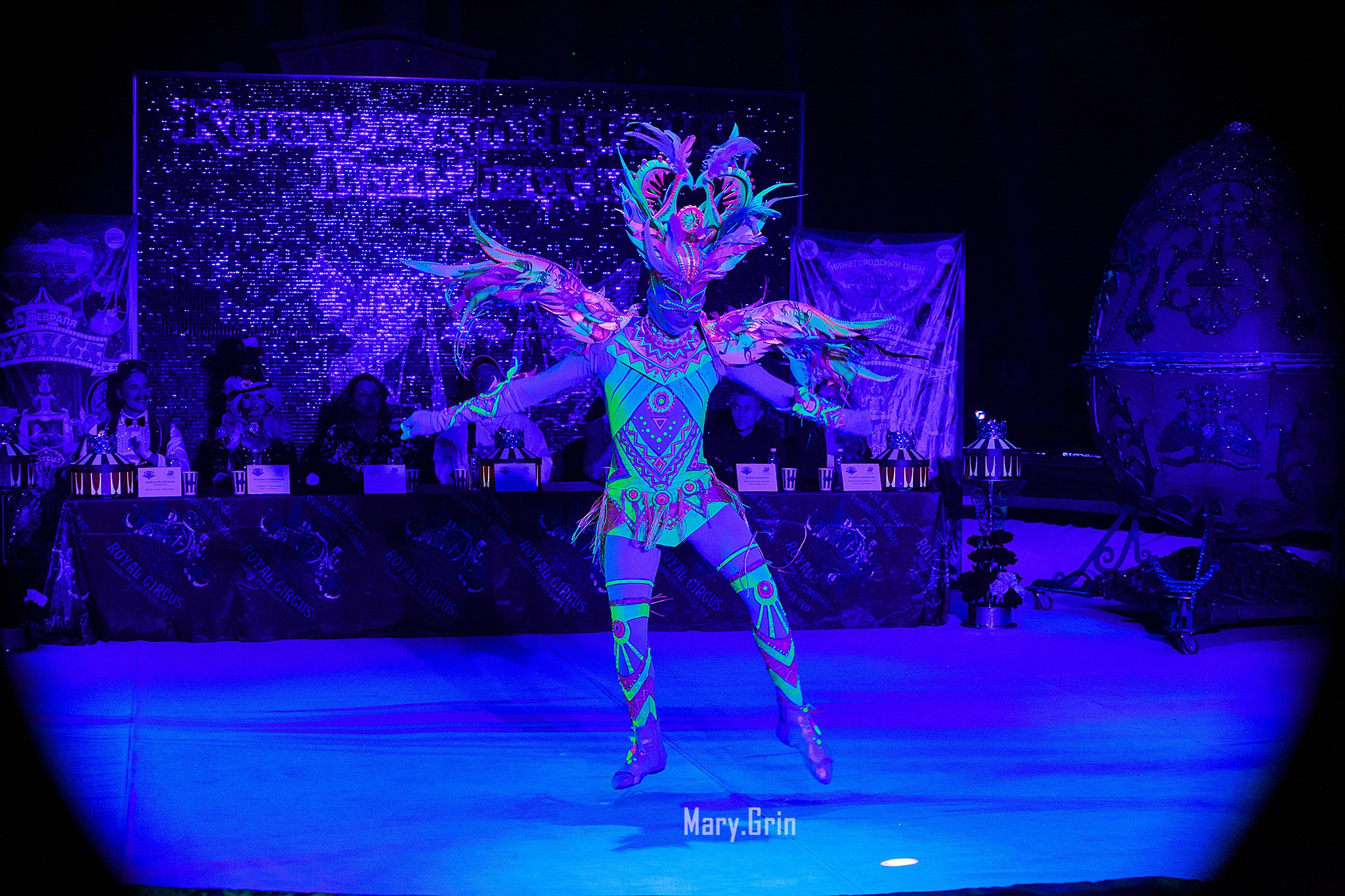 Цирк Гии Эрадзе. Детский и семейный фотограф, фотограф мероприятий Нижний Новгород