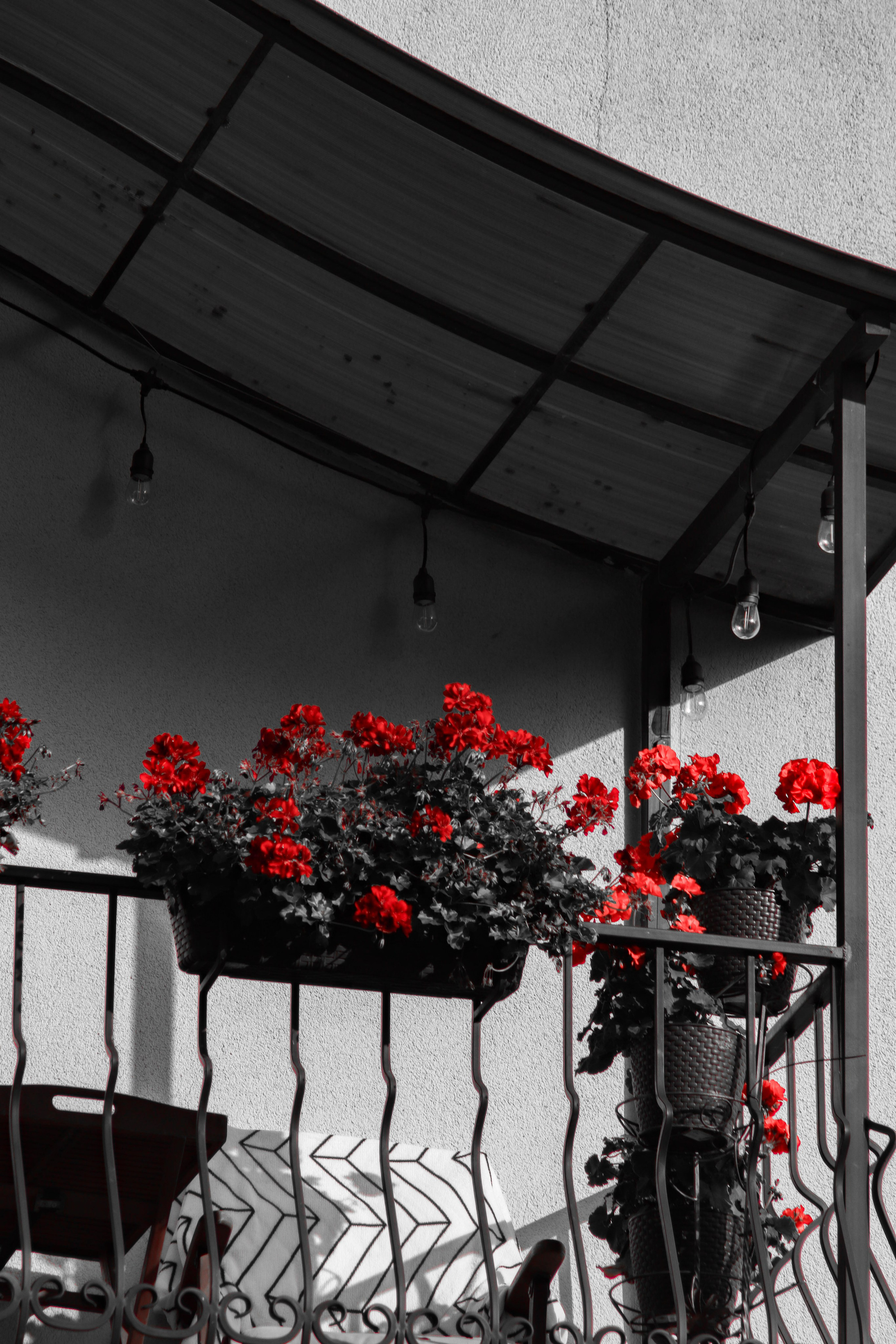 О Д И Н — Ц В Е Т. — Digital Noise —