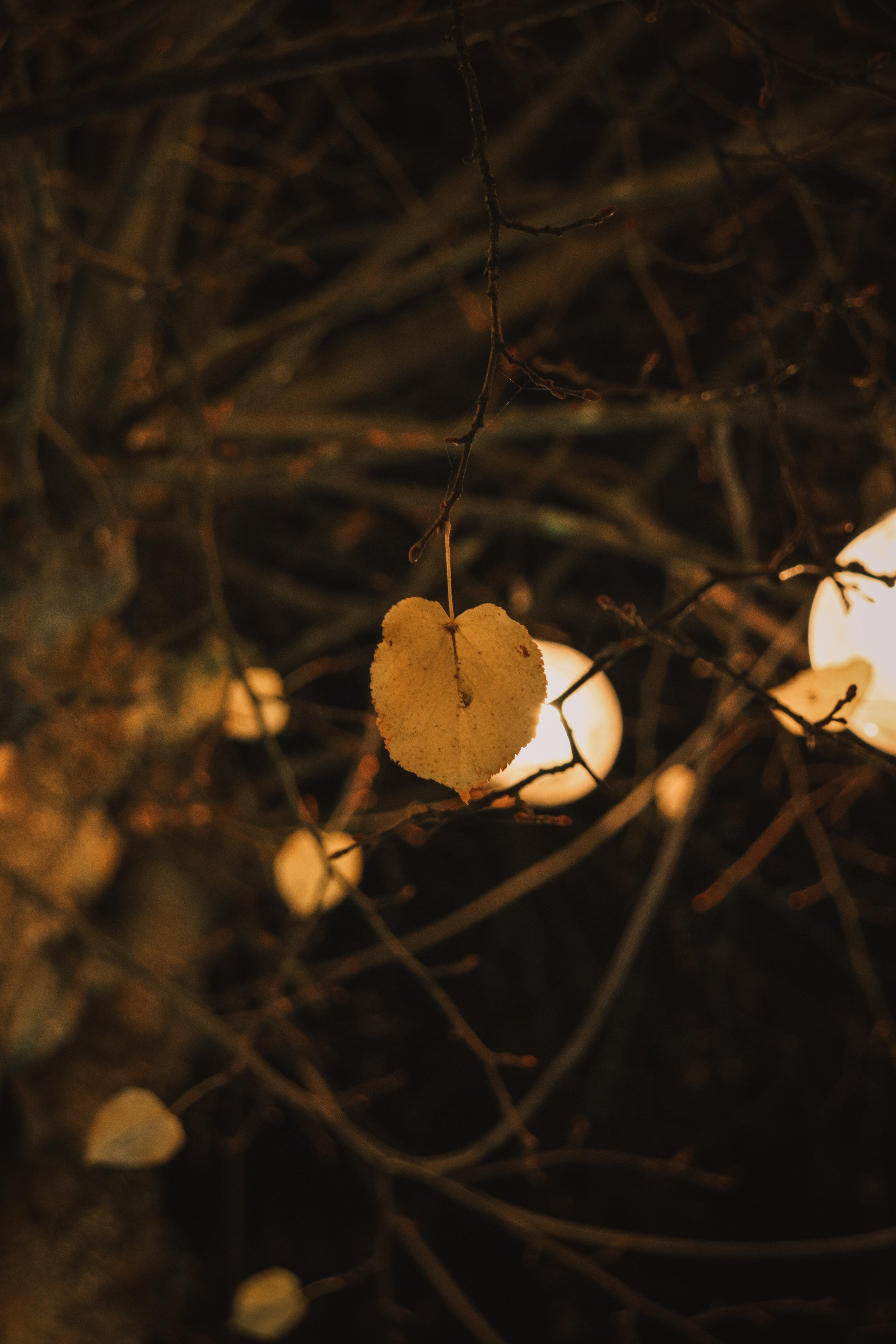 Н О Ч Н Ы Е. — Digital Noise —