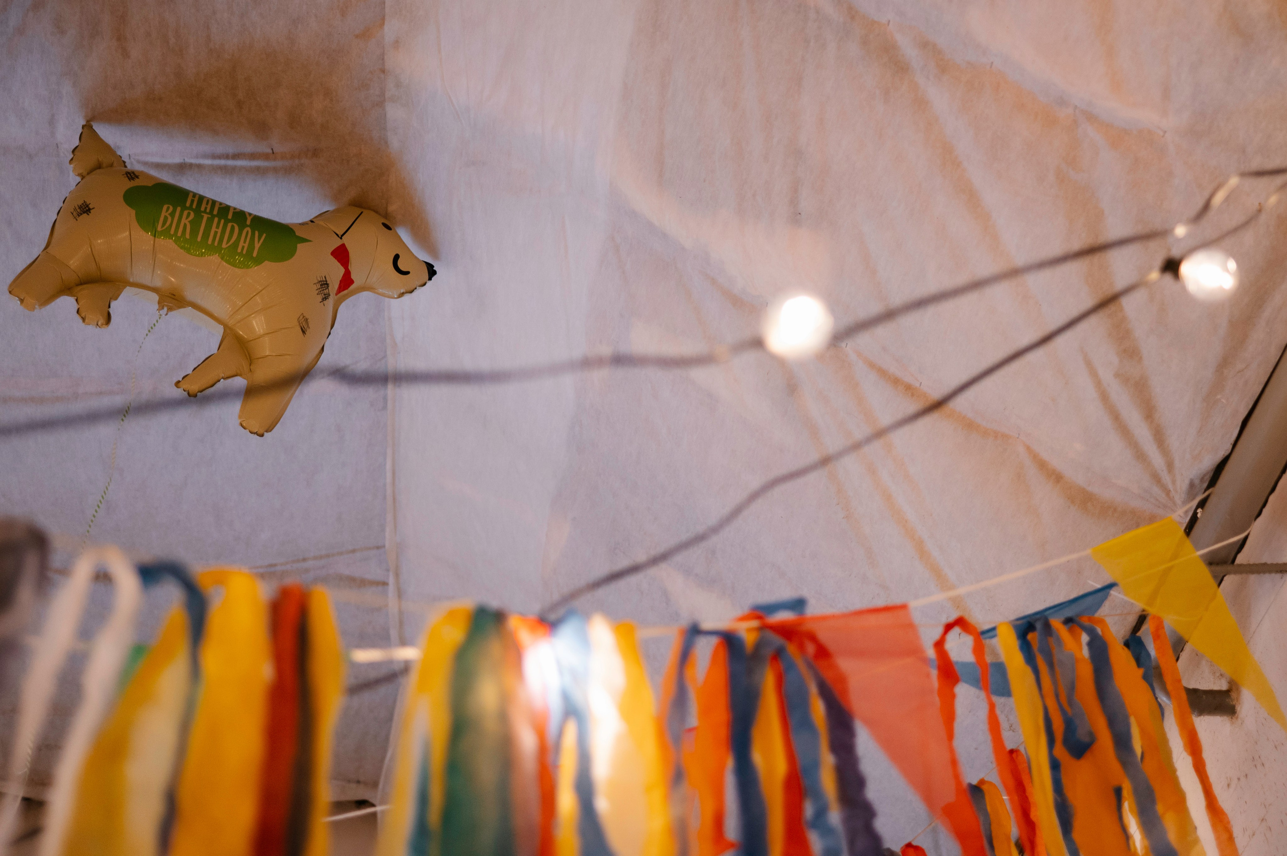 Детские праздники. Фотограф Тверь