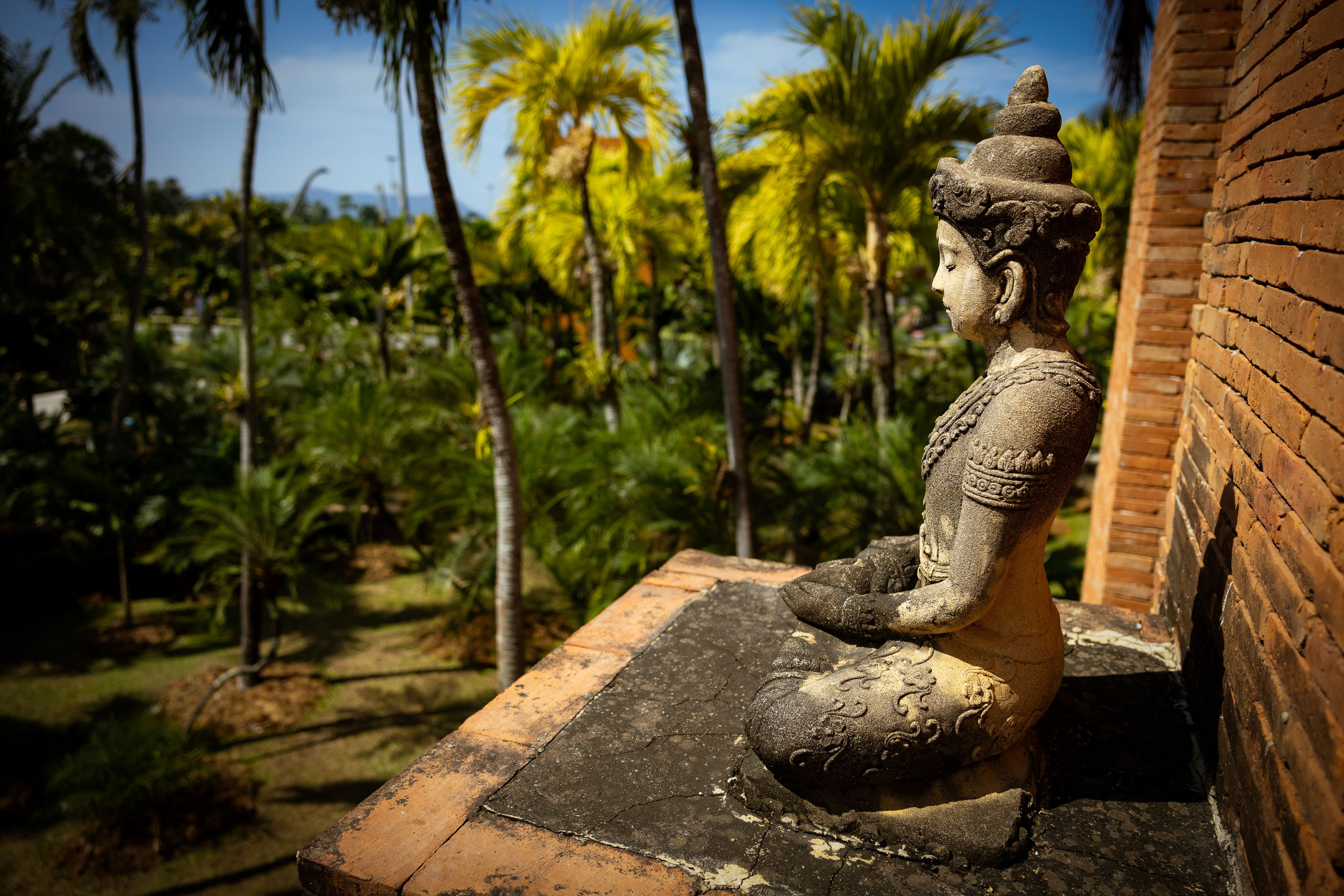 Таиланд (зима 2025). Фотограф Виноградов Константин