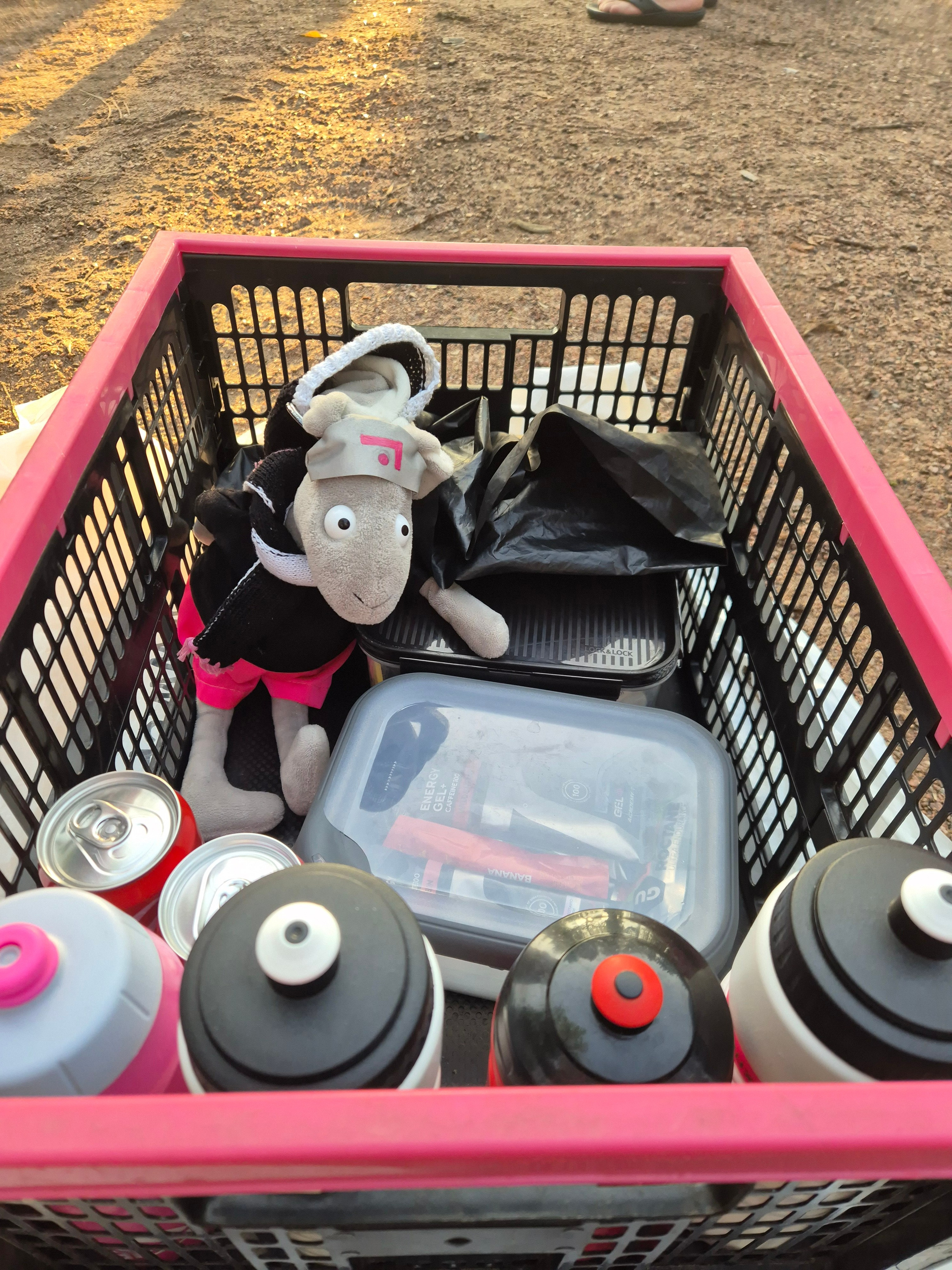 Собрал с собой коробочку еды. Закинул в нее телефон с трекером, который передавал мою локацию весь заплыв, чтобы друзья и близкие могли наблюдать