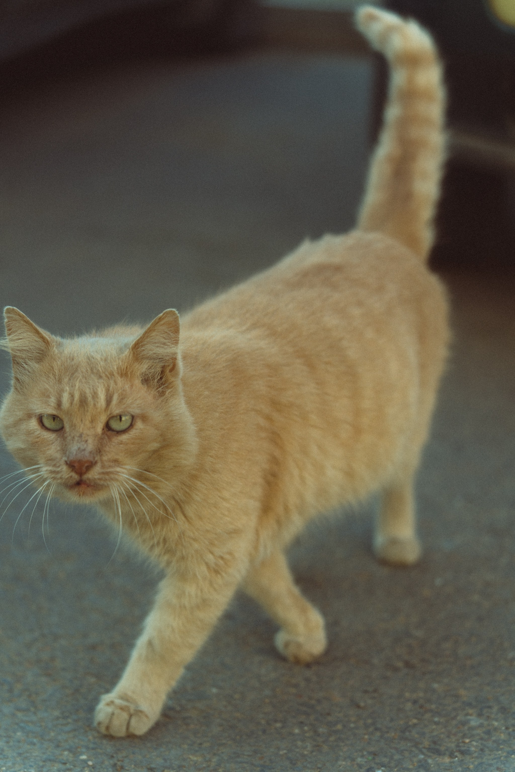 Актау, Ноябрь 2024