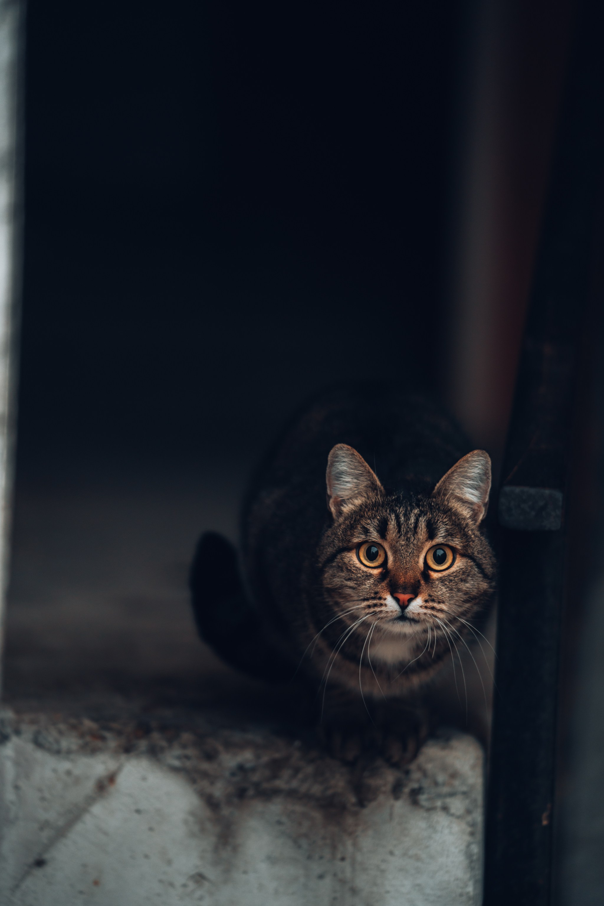 Актау, Ноябрь 2024