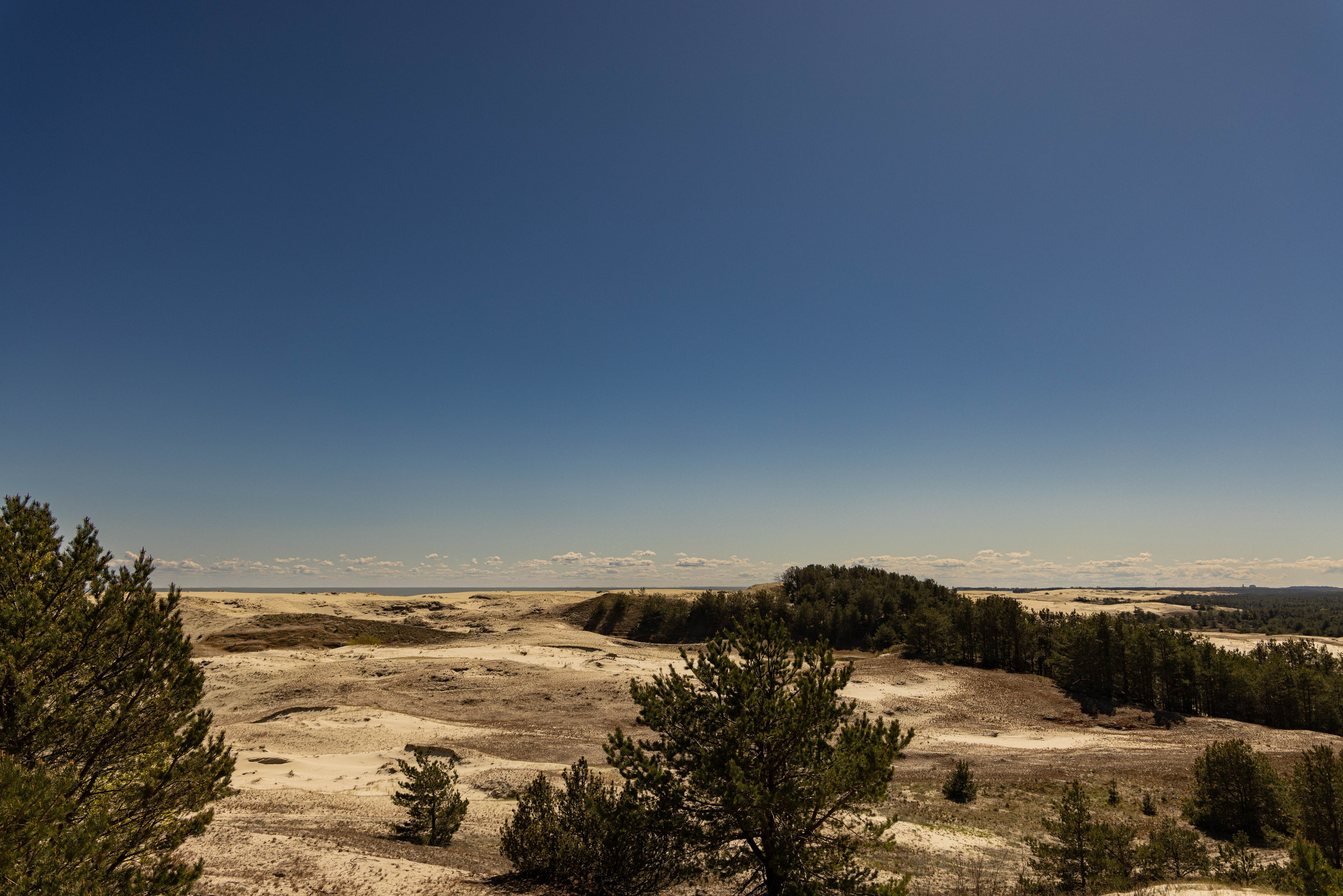 Архитектура и пейзажи. Главная