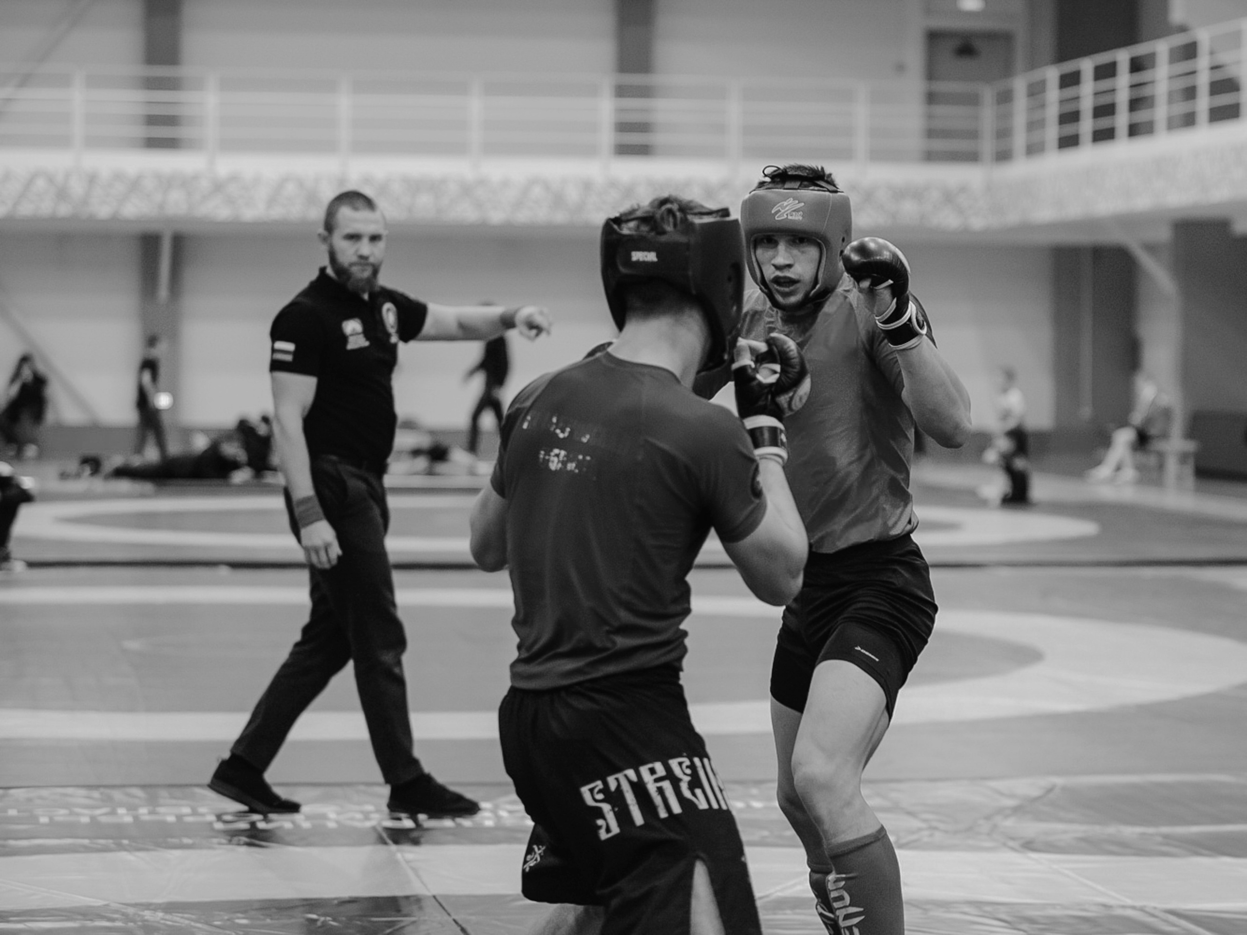 Кубок России по спортивной борьбе панкратион `23. Портретный фотограф в Москве Дарья Цезария