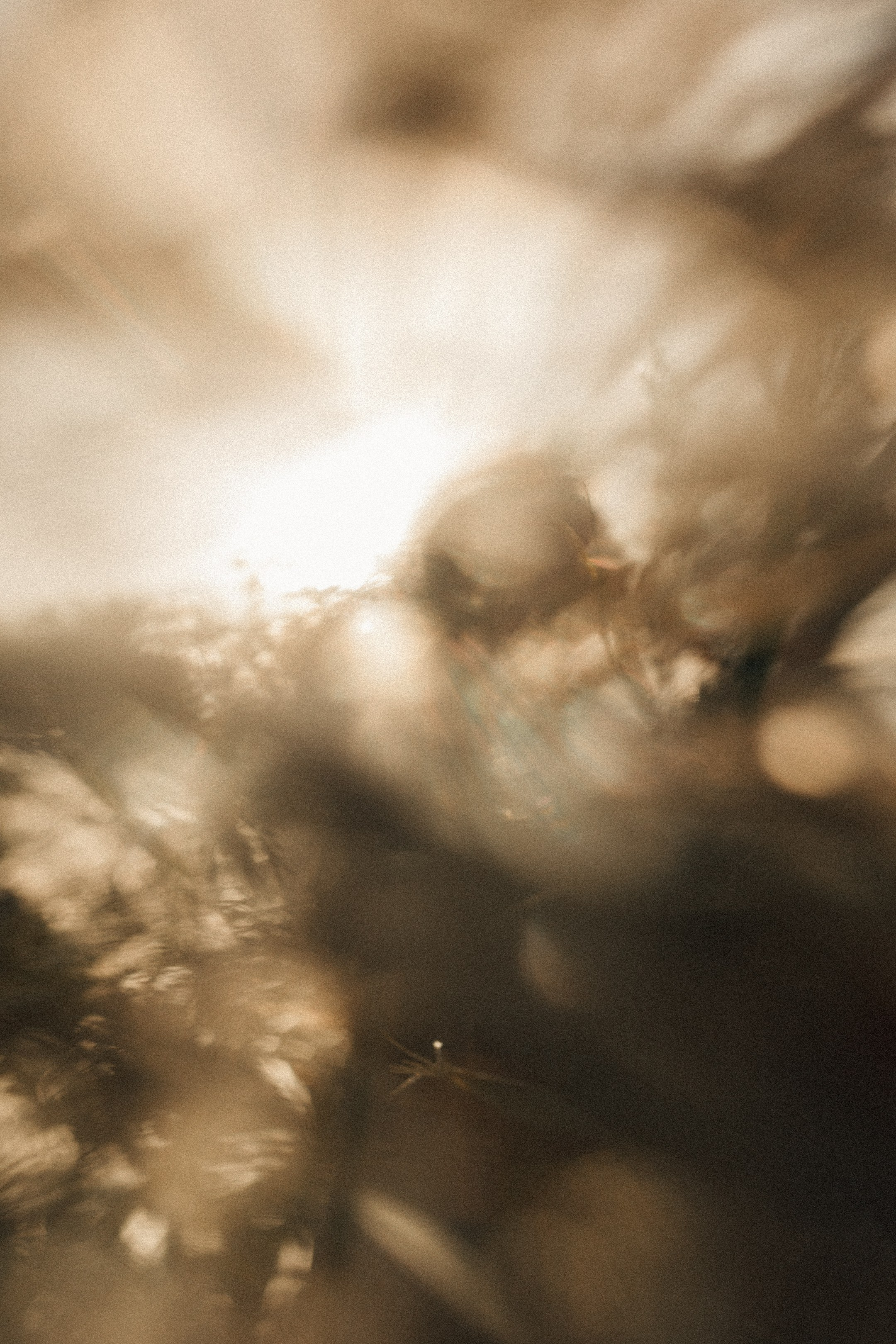 Анастасия и Михаил. Свадебный и портретный фотограф в Калининграде и Москве Марк Юдинцев