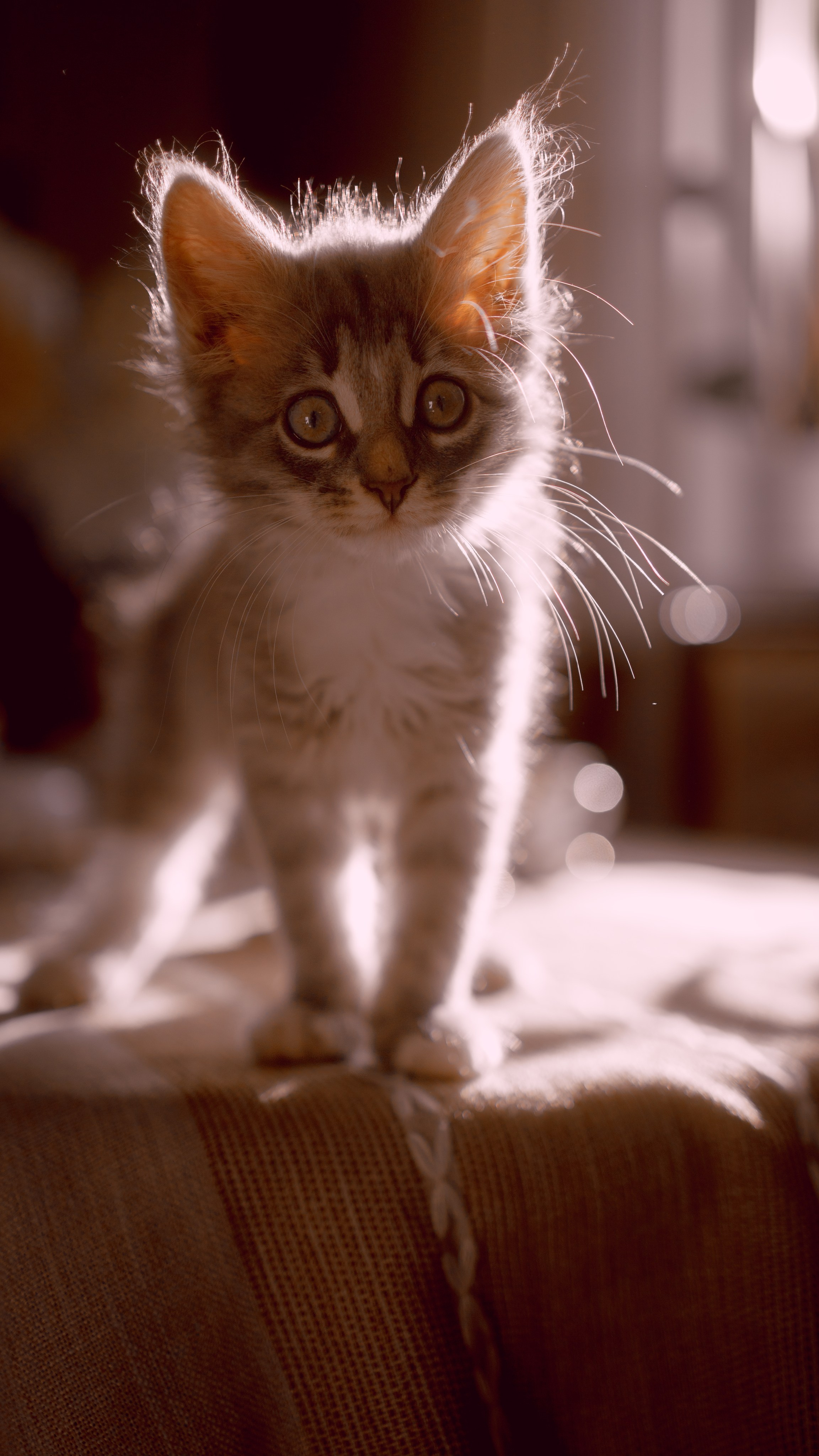 Подкидыш. Семейный и детский фотограф Рядчикова Екатерина Москва