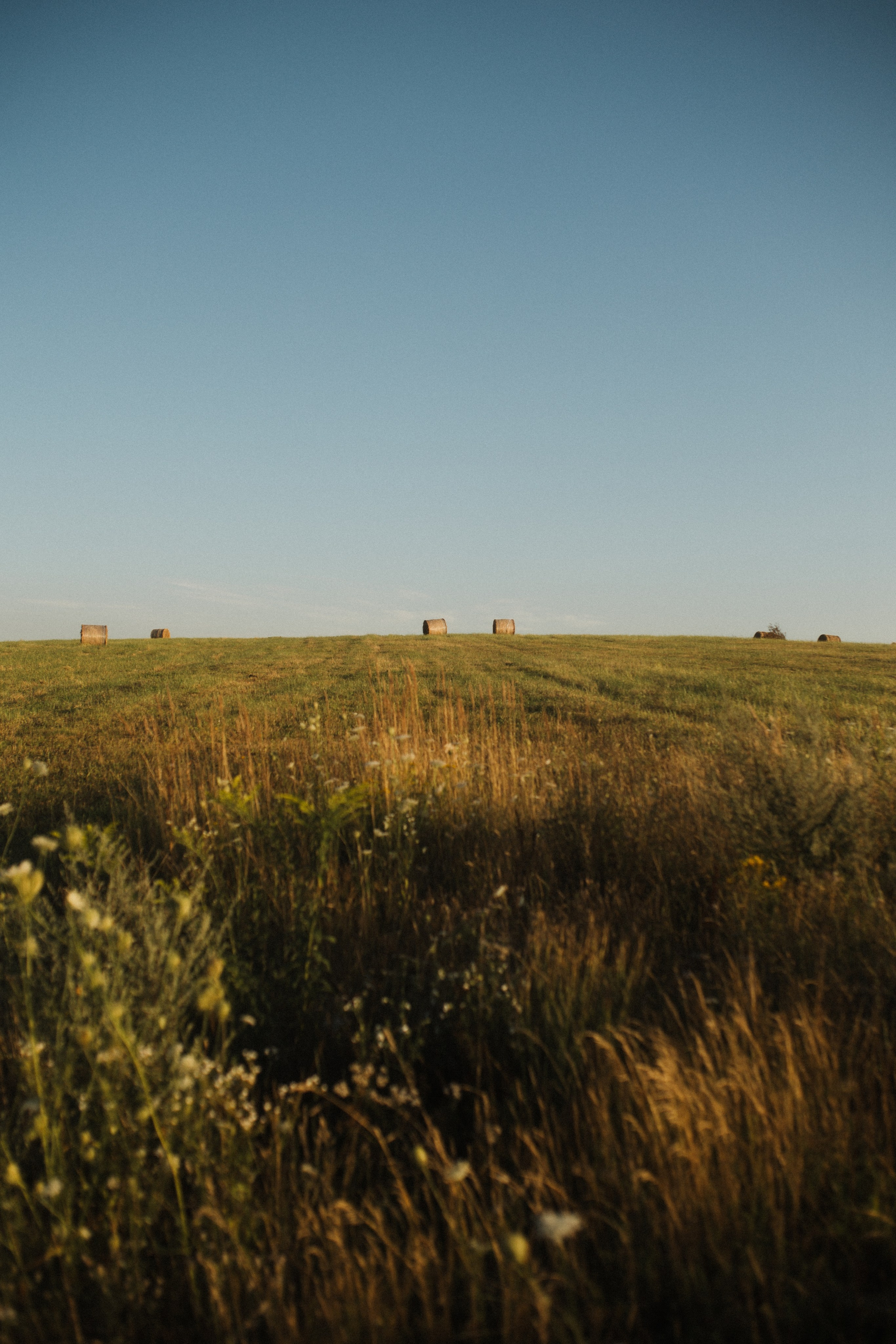 Kseniya. Свадебный и портретный фотограф в Калининграде и Москве Марк Юдинцев