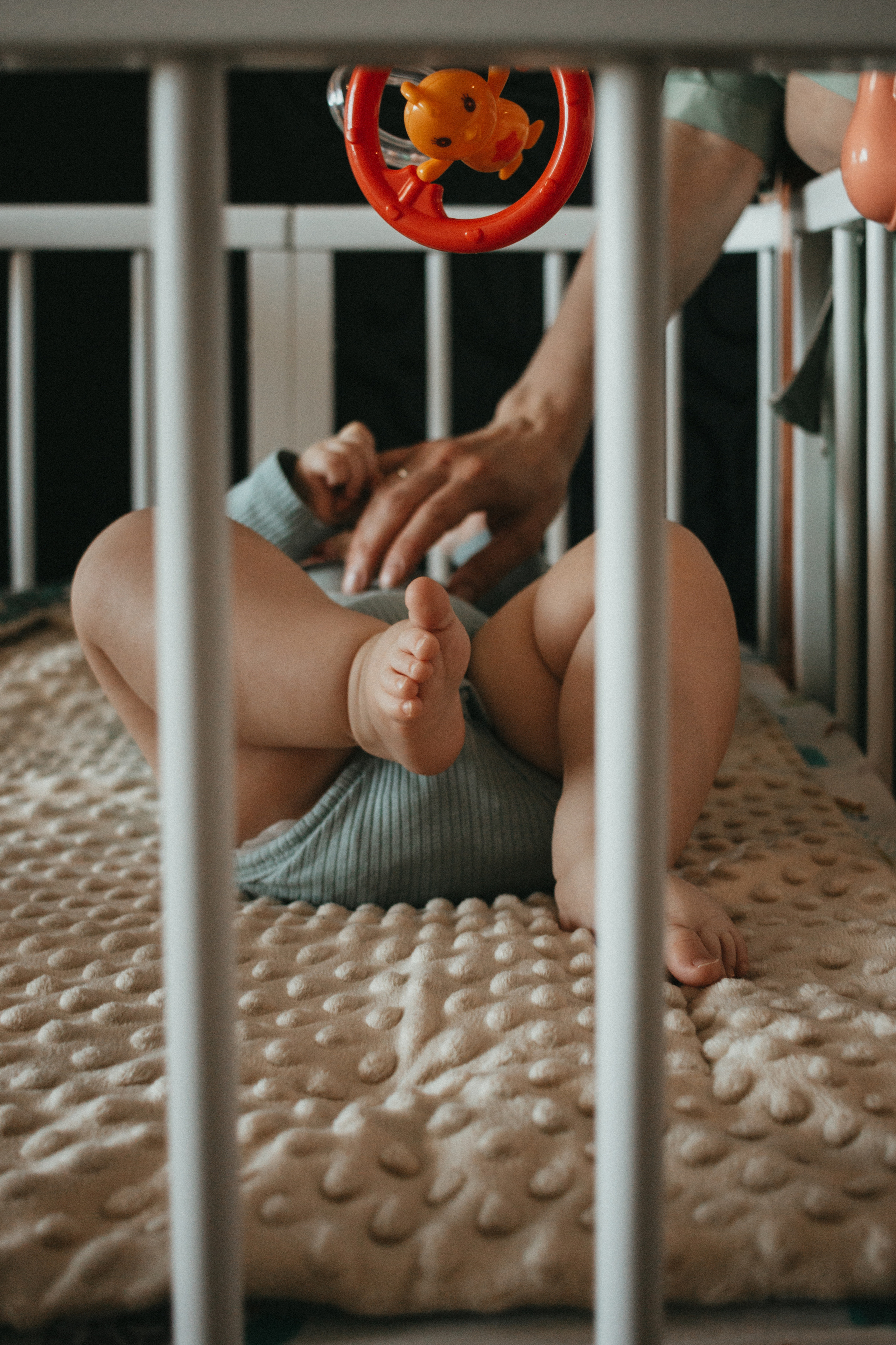 Домашние кадры. Семейный и портретный фотограф в Новосибирске Ксения Кудрина