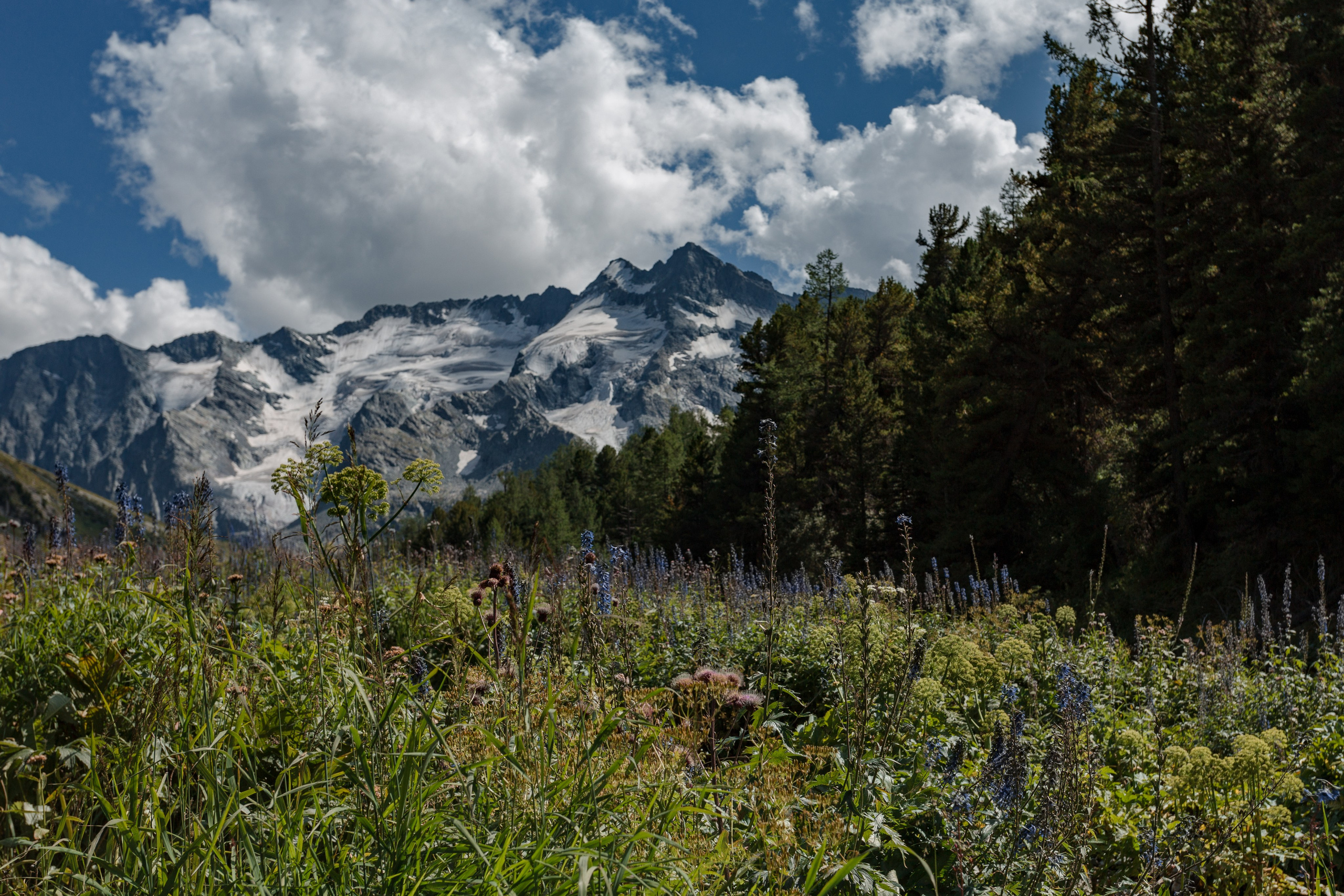 Катунский заповедник, Республика Алтай. Репортажный фотограф в Крыму Ксения Гасица