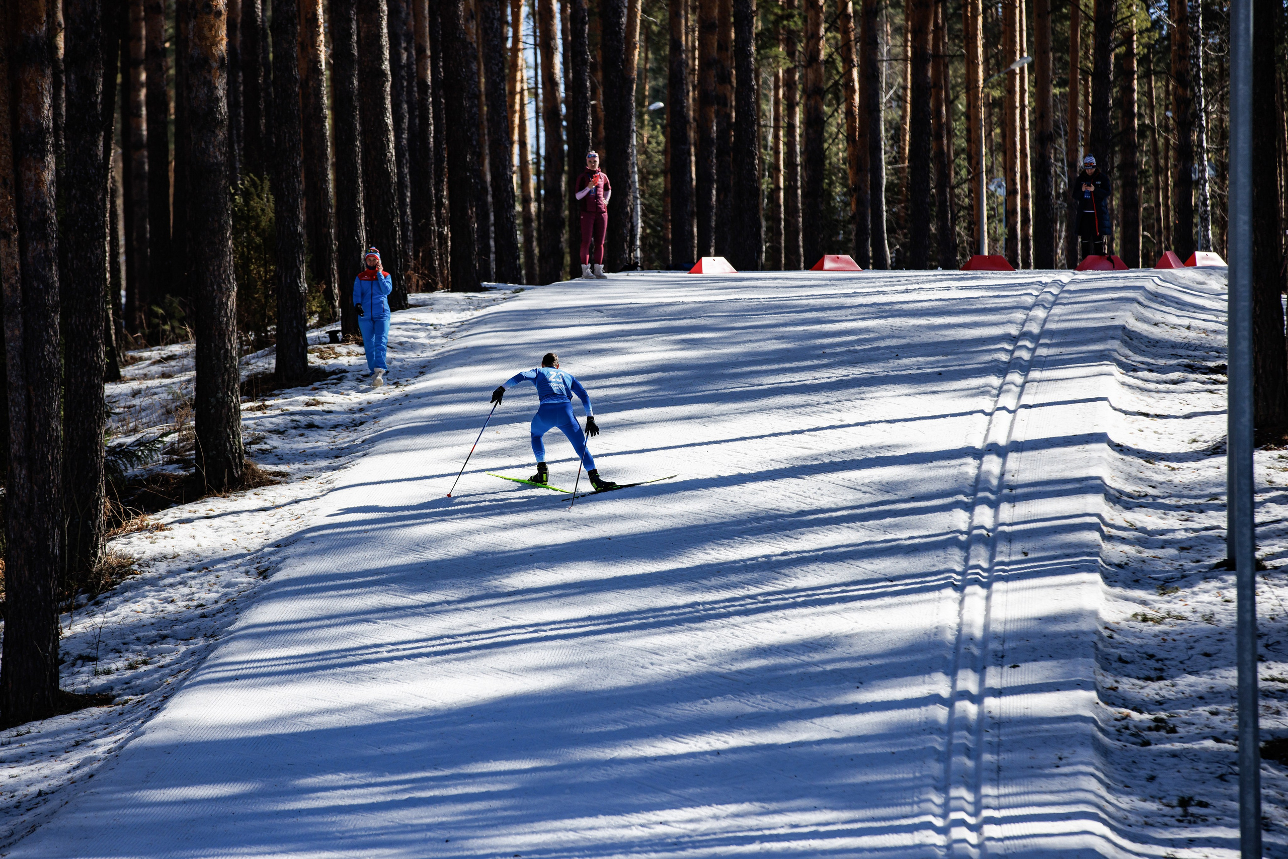 Лыжные гонки. Главная